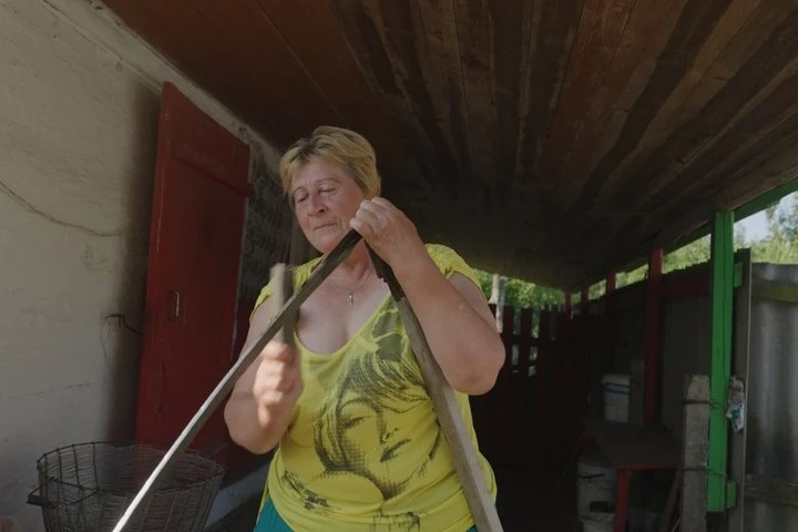 Шість людей на все село: історія зникаючого села Брідок на Звягельщині