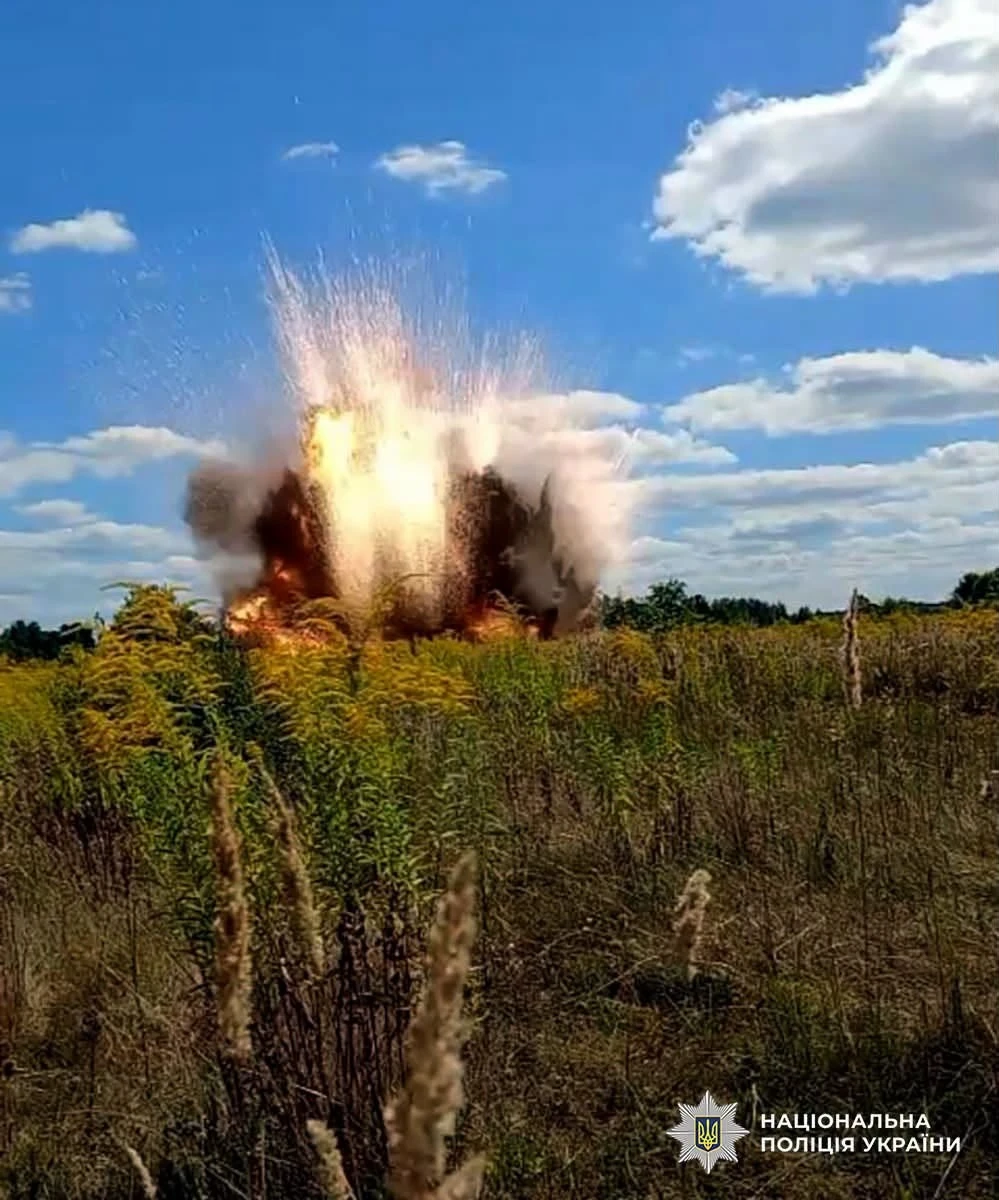 Небезпечна знахідка: на Житомирщині знищили бойову частину ворожого безпілотника (відео)