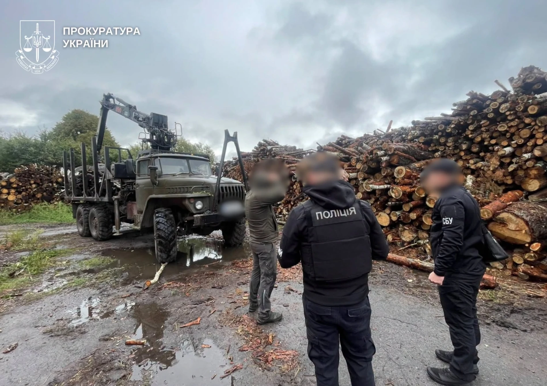 На Житомирщині викрили незаконну вирубку лісу на 33 мільйони гривень