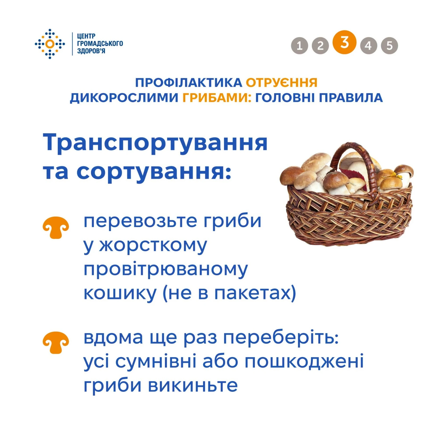 Сезон «тихого полювання» в розпалі: як не отруїтися грибами