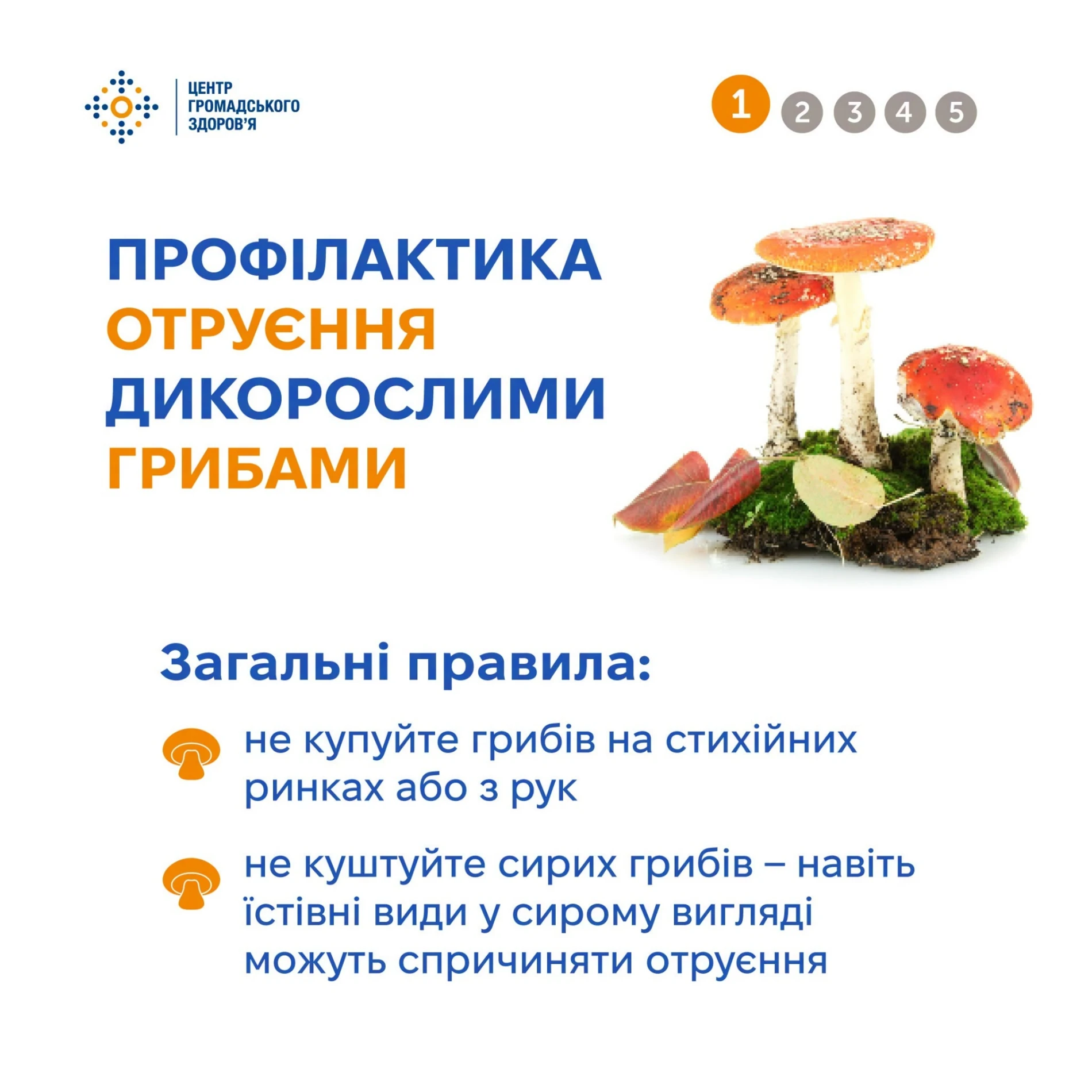 Сезон «тихого полювання» в розпалі: як не отруїтися грибами