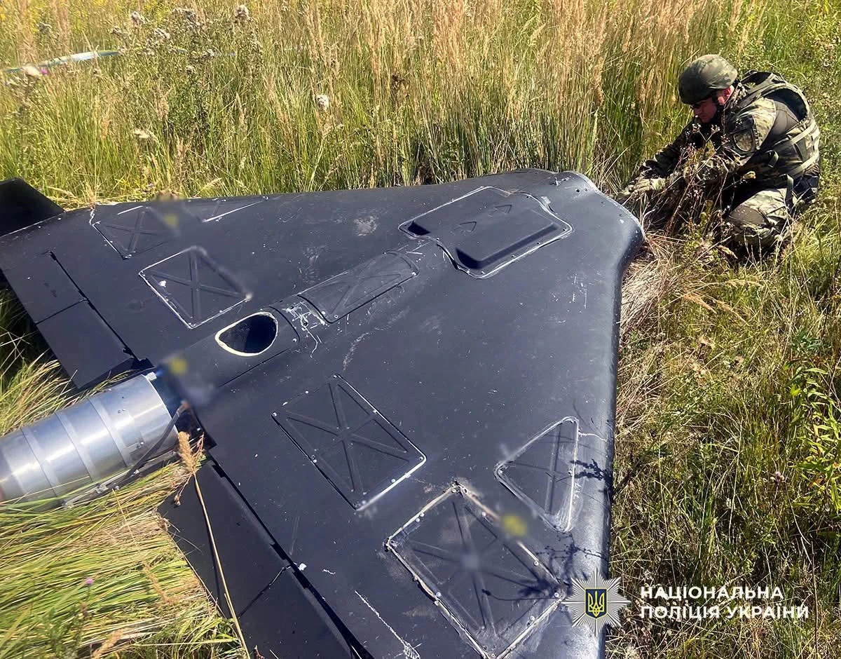 Небезпечна знахідка: на Житомирщині знищили бойову частину ворожого безпілотника (відео)
