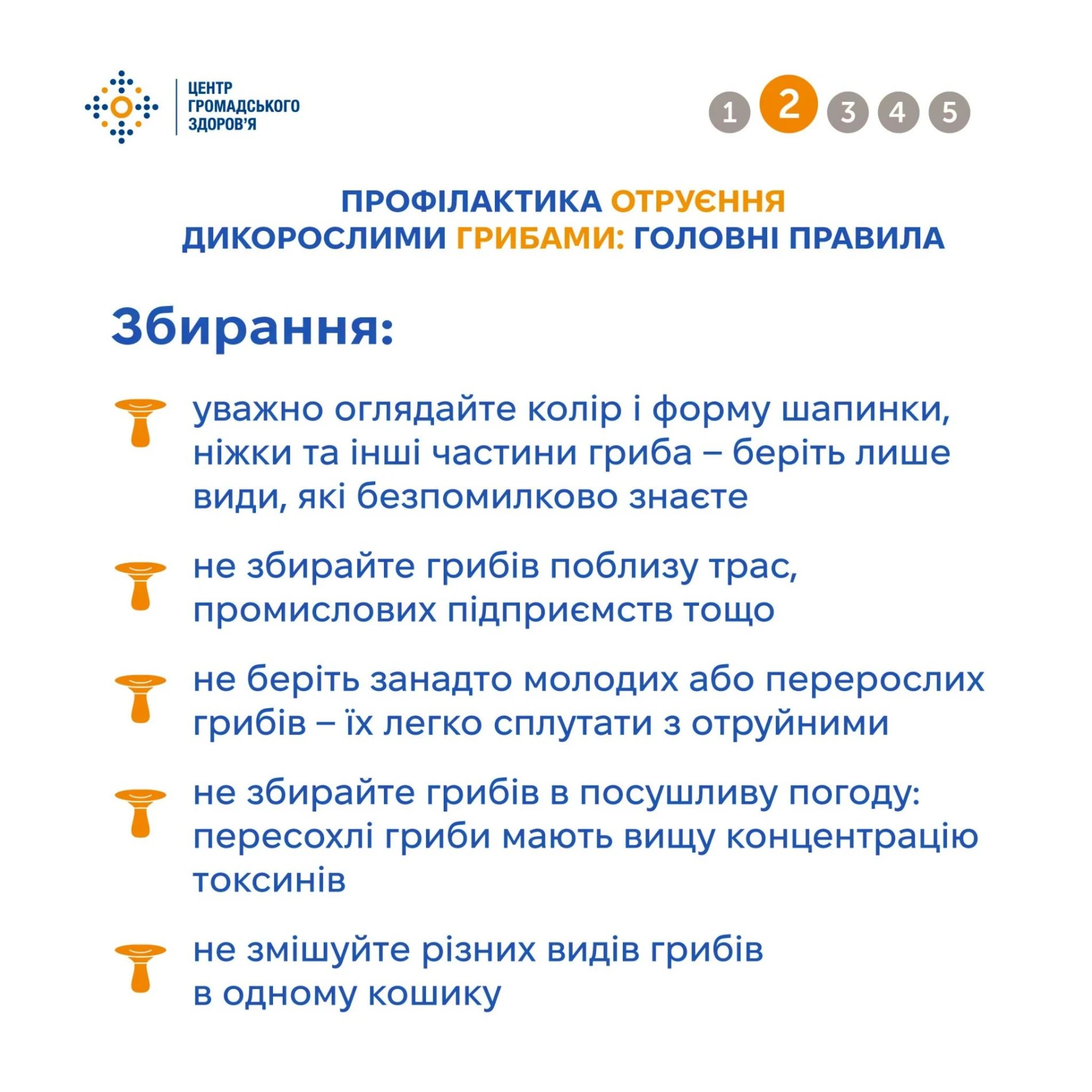Сезон «тихого полювання» в розпалі: як не отруїтися грибами