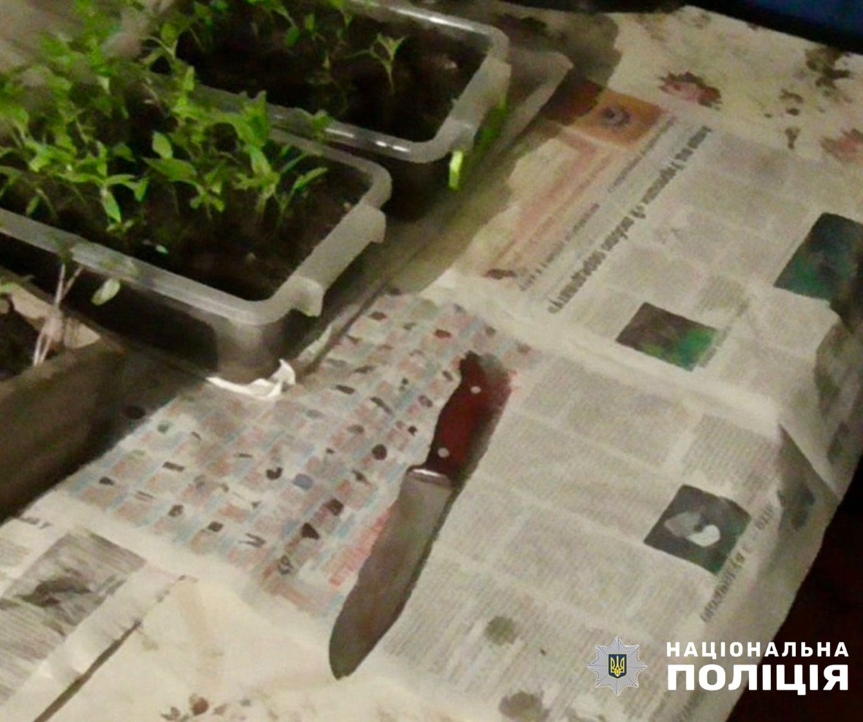 На Житомирщині молодий вчитель вбив юнака та відправив у реанімацію іншого