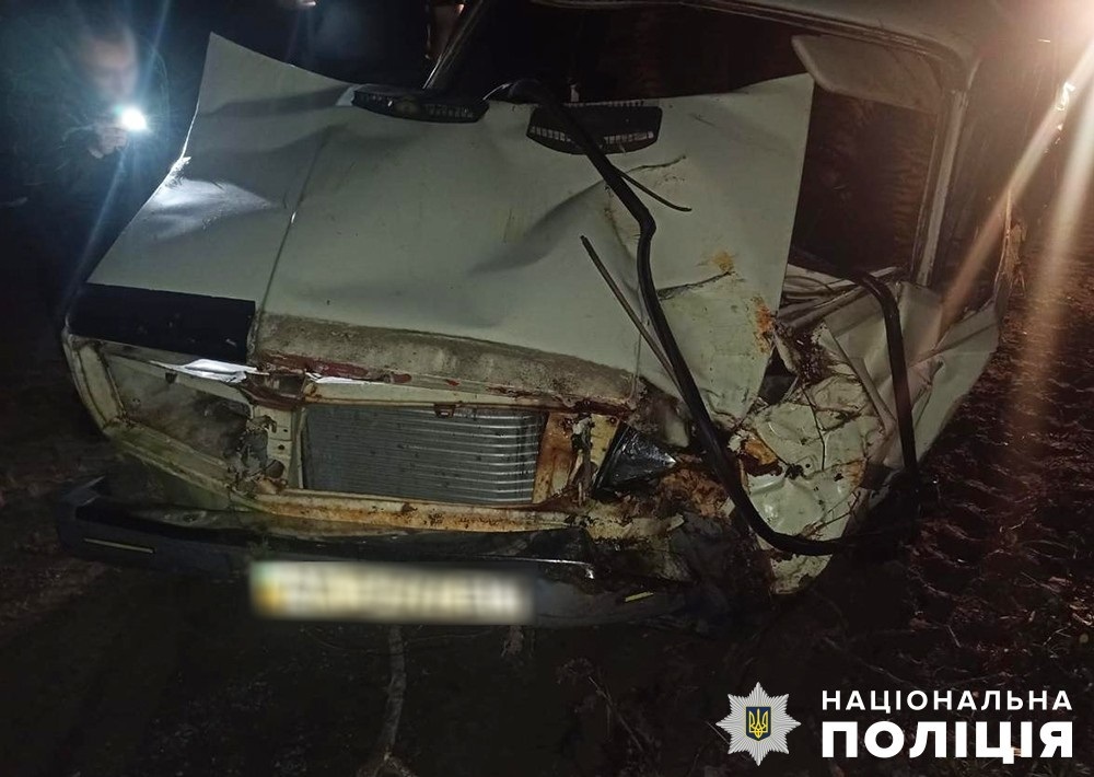 На Звягельщині перекинулася автівка