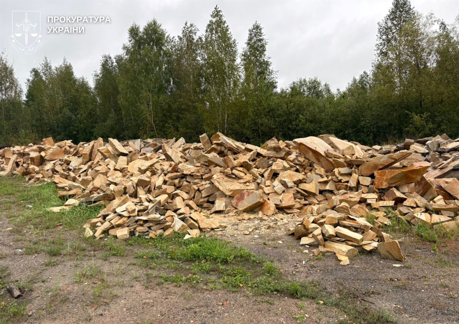 Розкрадання коштів, шахрайство, екозлочини: на Житомирщині повідомили про підозри 13 особам