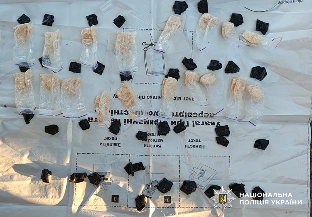 У Звягелі затримали наркоторговця зі 149 згортками амфетаміну – йому загрожує 12 років