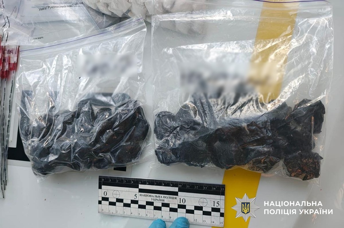 У Звягелі затримали наркоторговця зі 149 згортками амфетаміну – йому загрожує 12 років