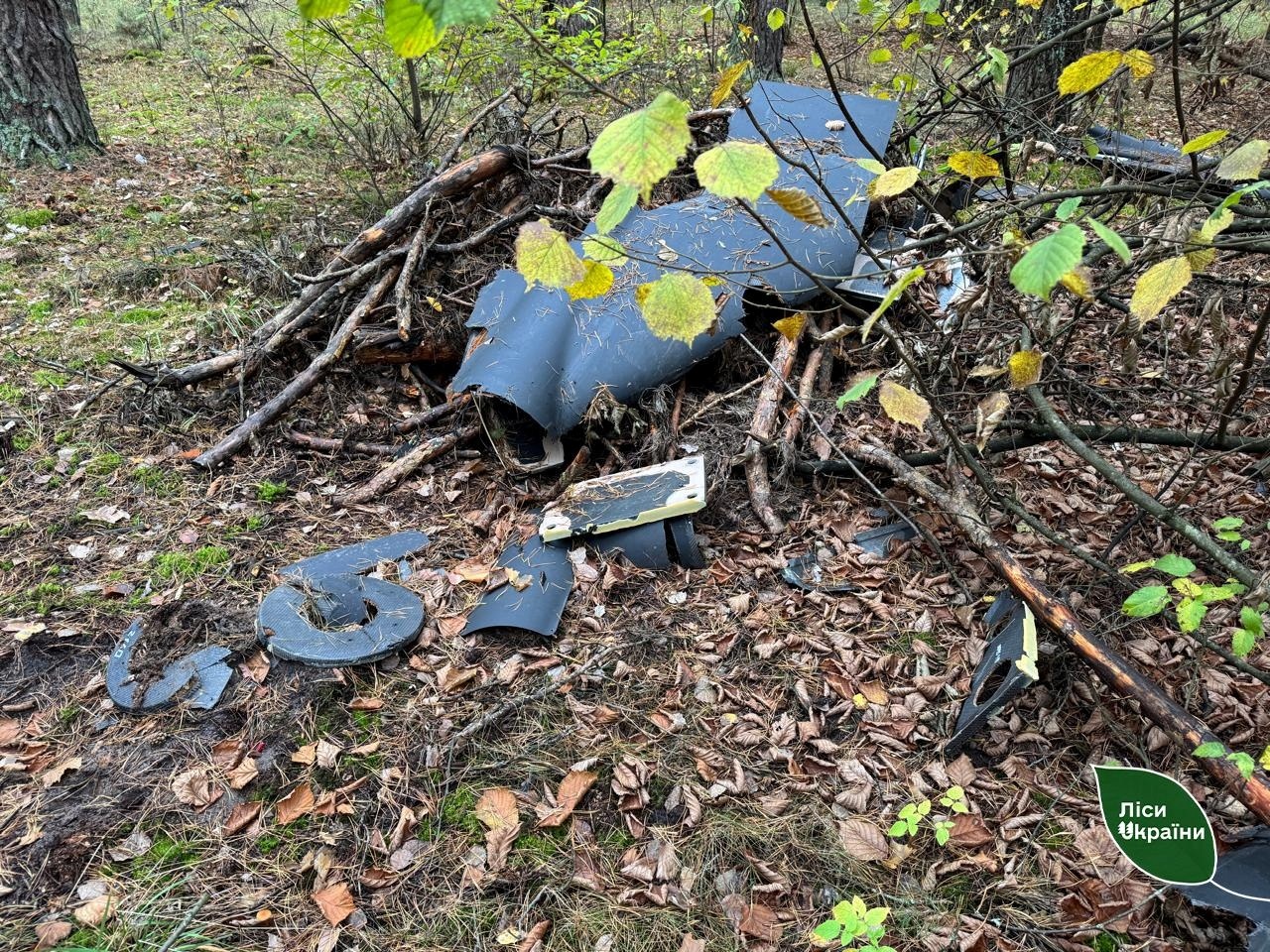 Лісова охорона виявила уламки шахеда після дронової атаки на Житомирщині