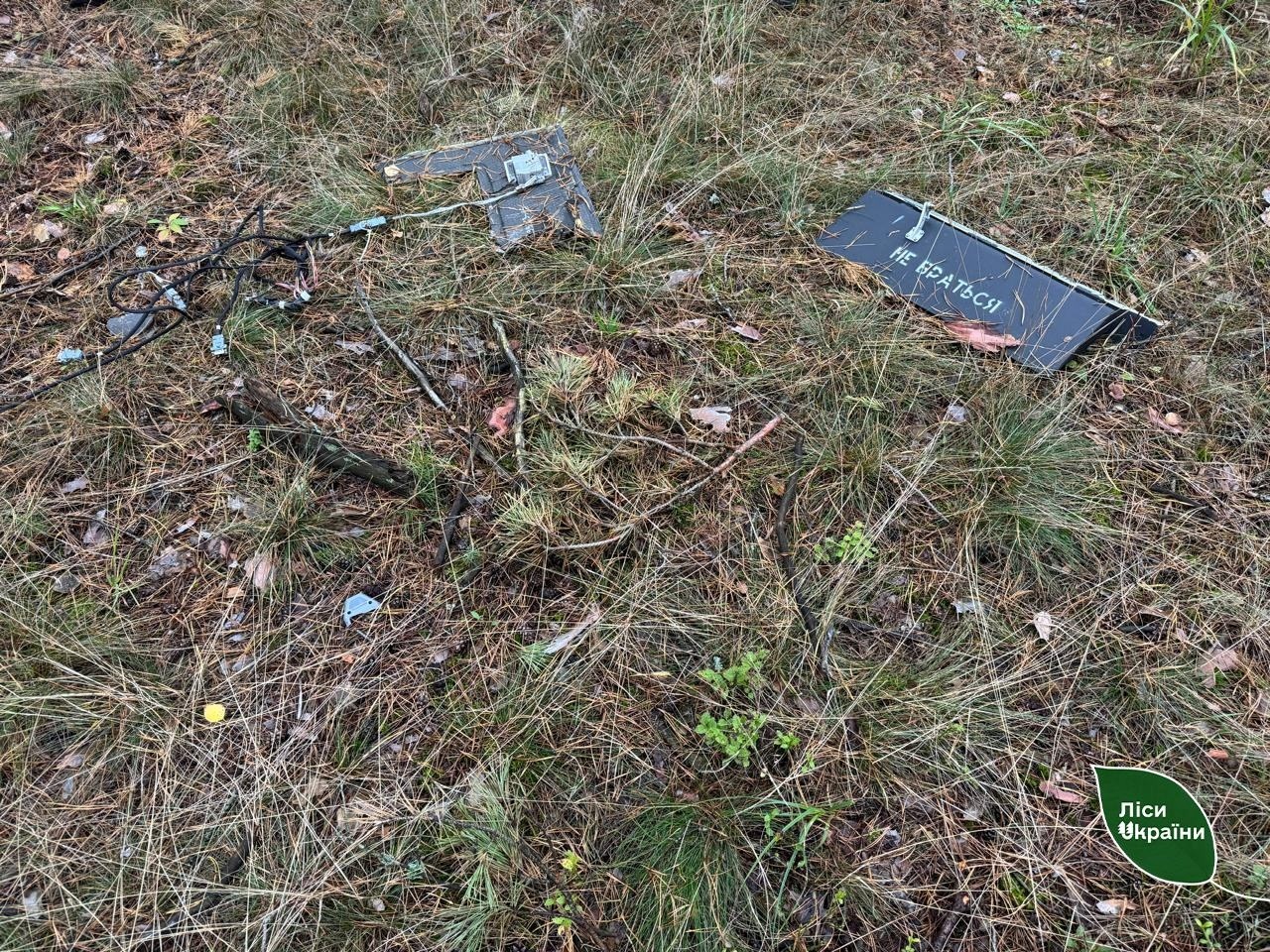 Лісова охорона виявила уламки шахеда після дронової атаки на Житомирщині
