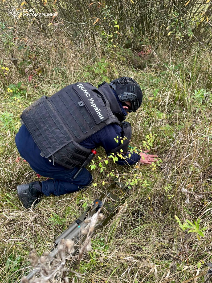 Грибники знайшли у лісі на Звягельщині мінометну міну