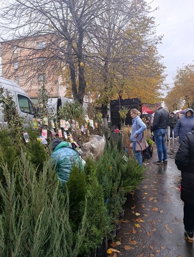 У Звягелі зібрали 17,5 тисяч гривень на дрони на осінньому ярмарку