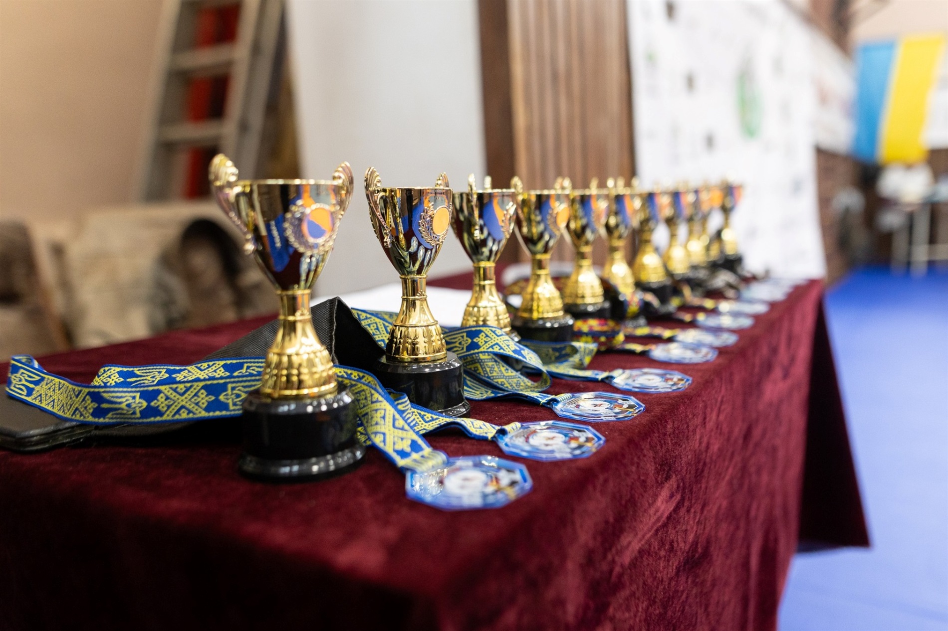 Юні борці зі Звягеля здобули 17 медалей на чемпіонаті Житомирської області з греко-римської боротьби