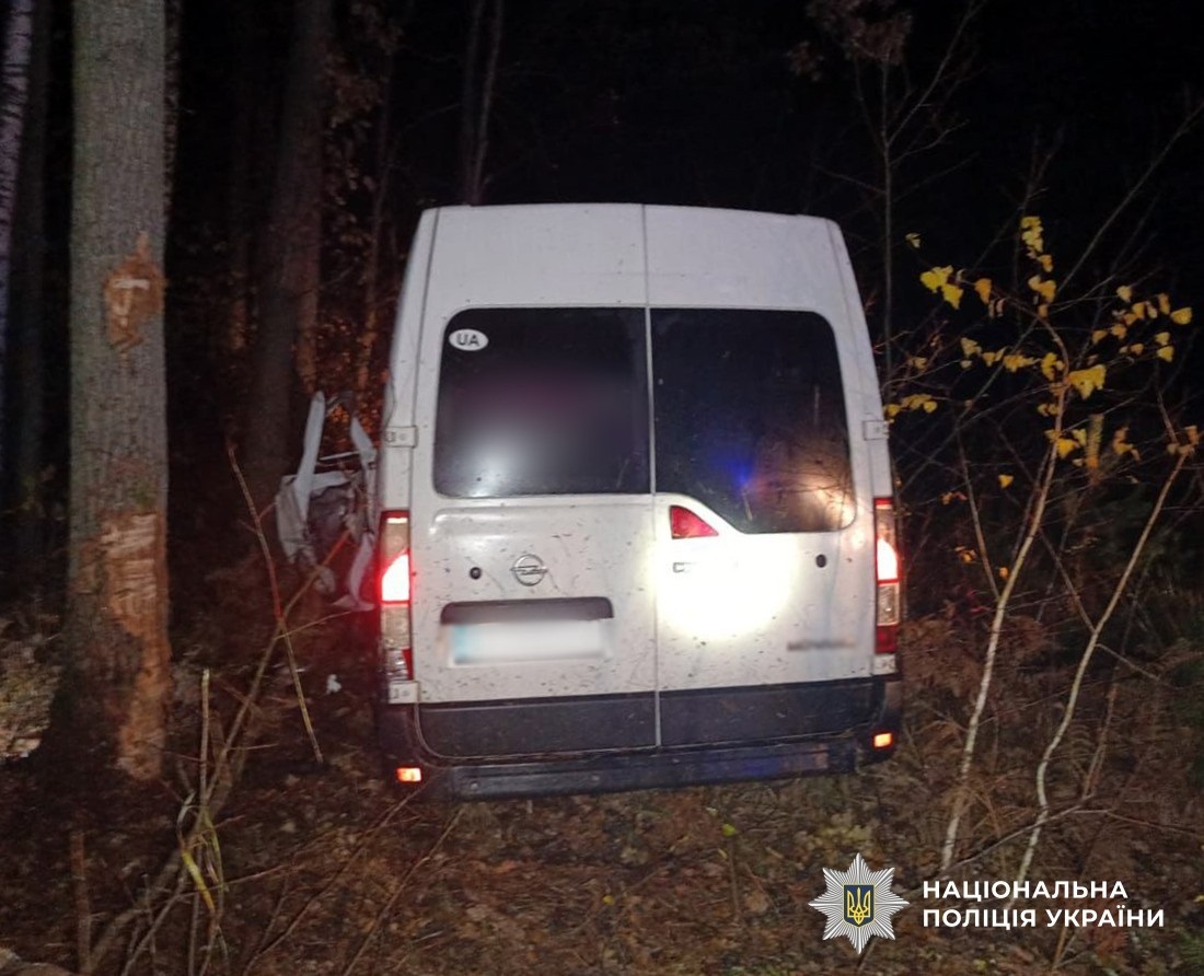 На Звягельщині мікроавтобус злетів у кювет: постраждала жінка