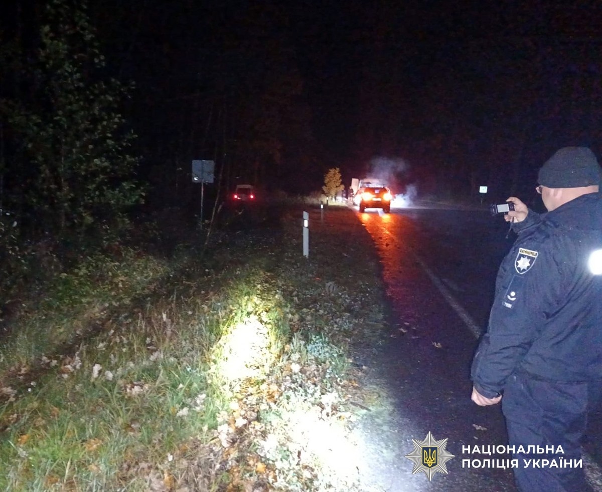 На Звягельщині мікроавтобус злетів у кювет: постраждала жінка