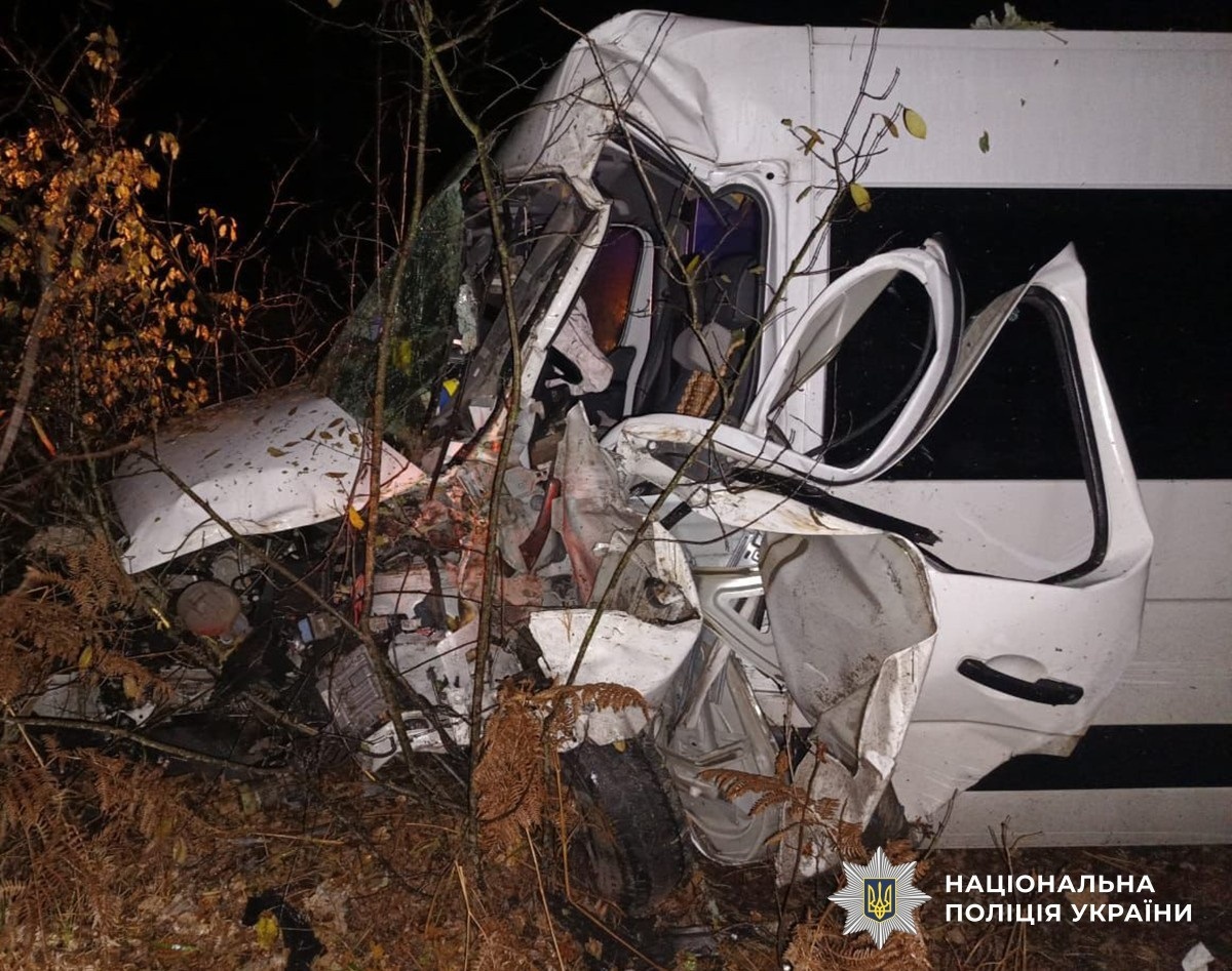 На Звягельщині мікроавтобус злетів у кювет: постраждала жінка