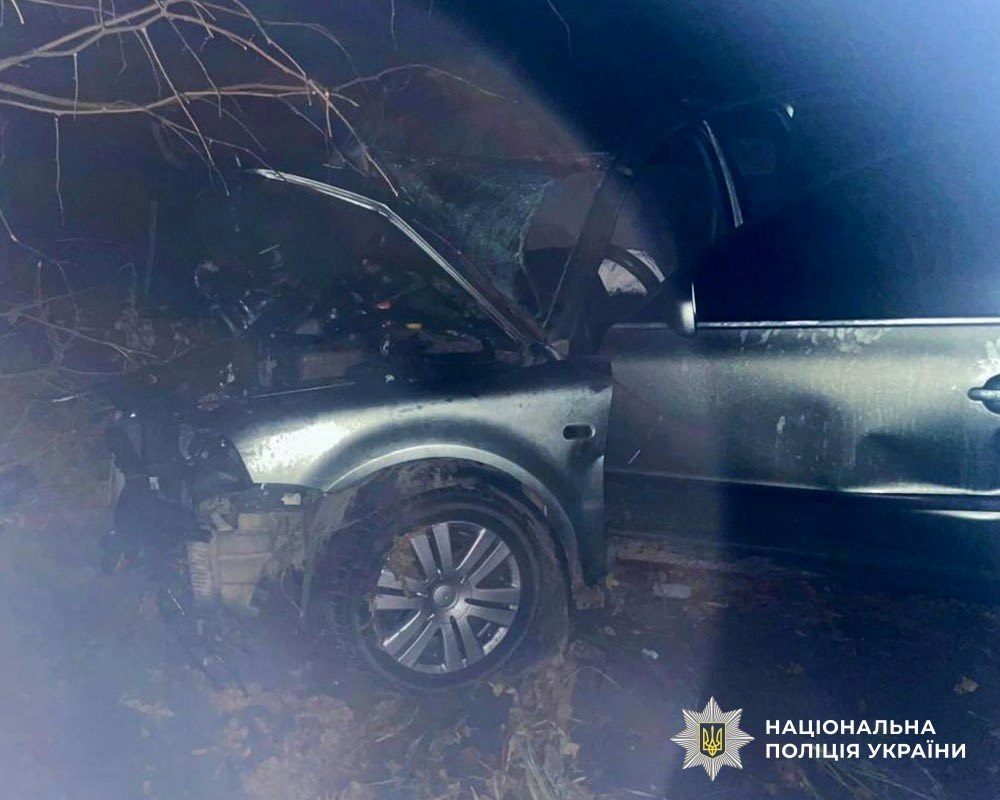Поблизу Звягеля автівка зіткнулася з деревом: пасажирка загинула, а водій у реанімації