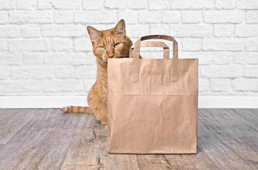 Одноразовий пакет з крафт-паперу