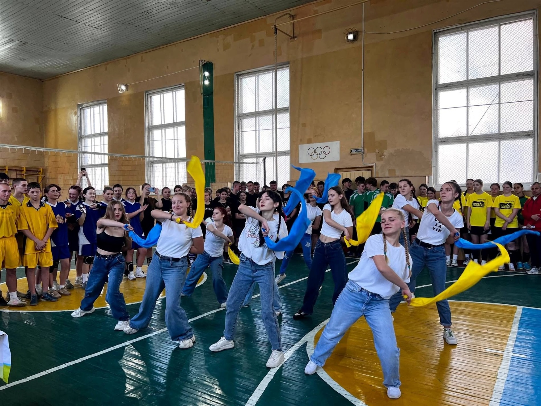 Студентська волейбольна ліга Звягеля: визначено переможців турніру