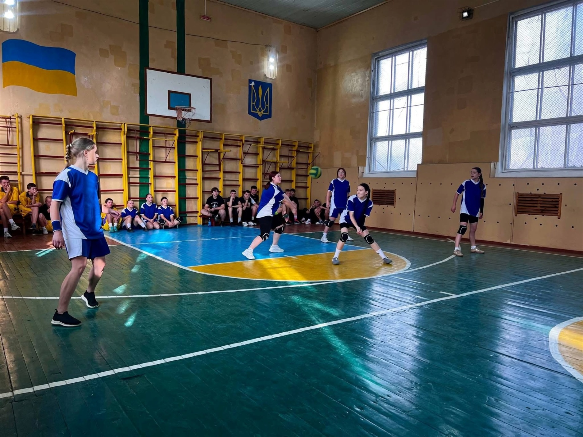 Студентська волейбольна ліга Звягеля: визначено переможців турніру