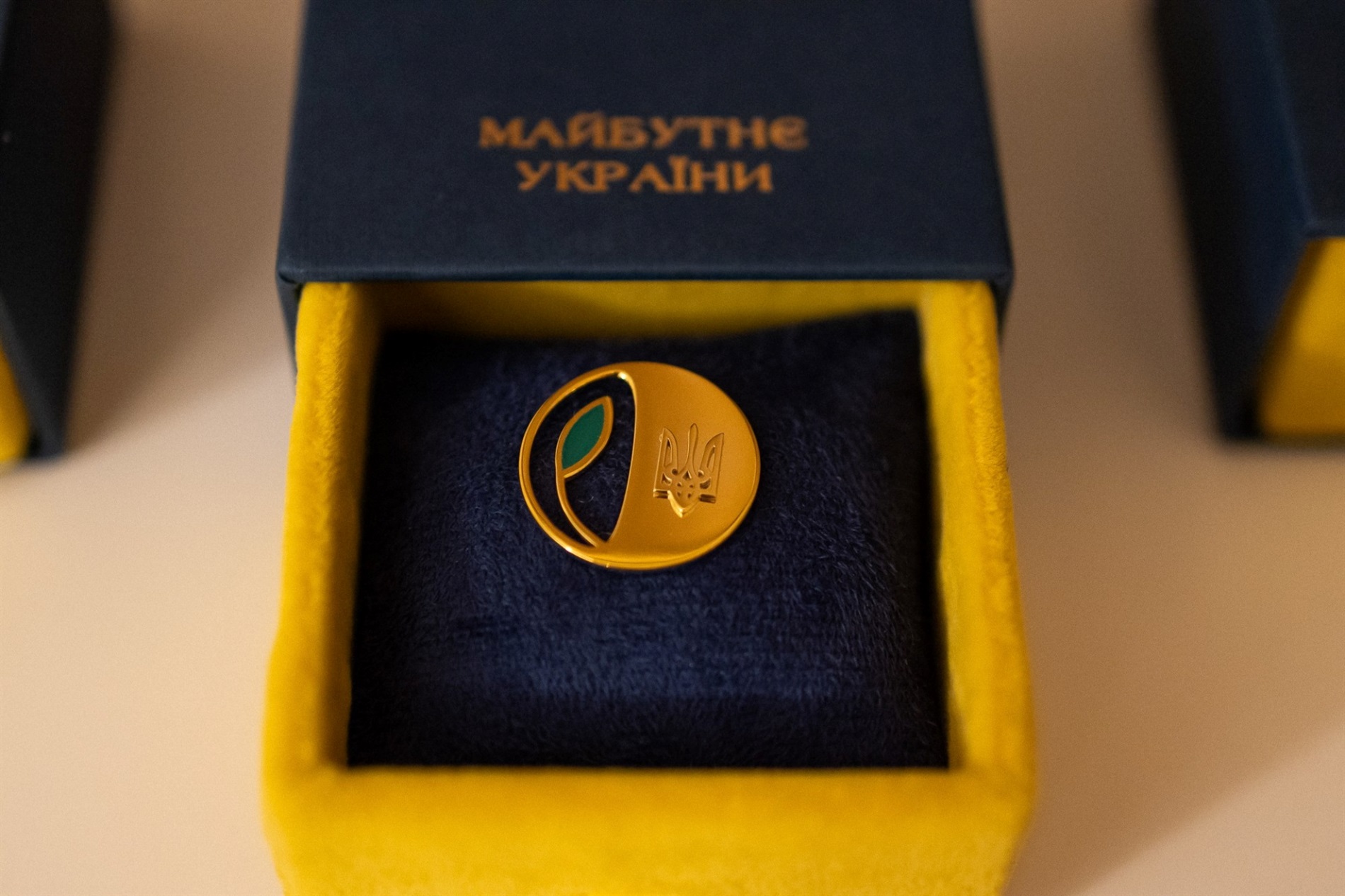 Витягнули дитину з води та зробили штучне дихання: президент нагородив двох хлопців зі Звягельщини