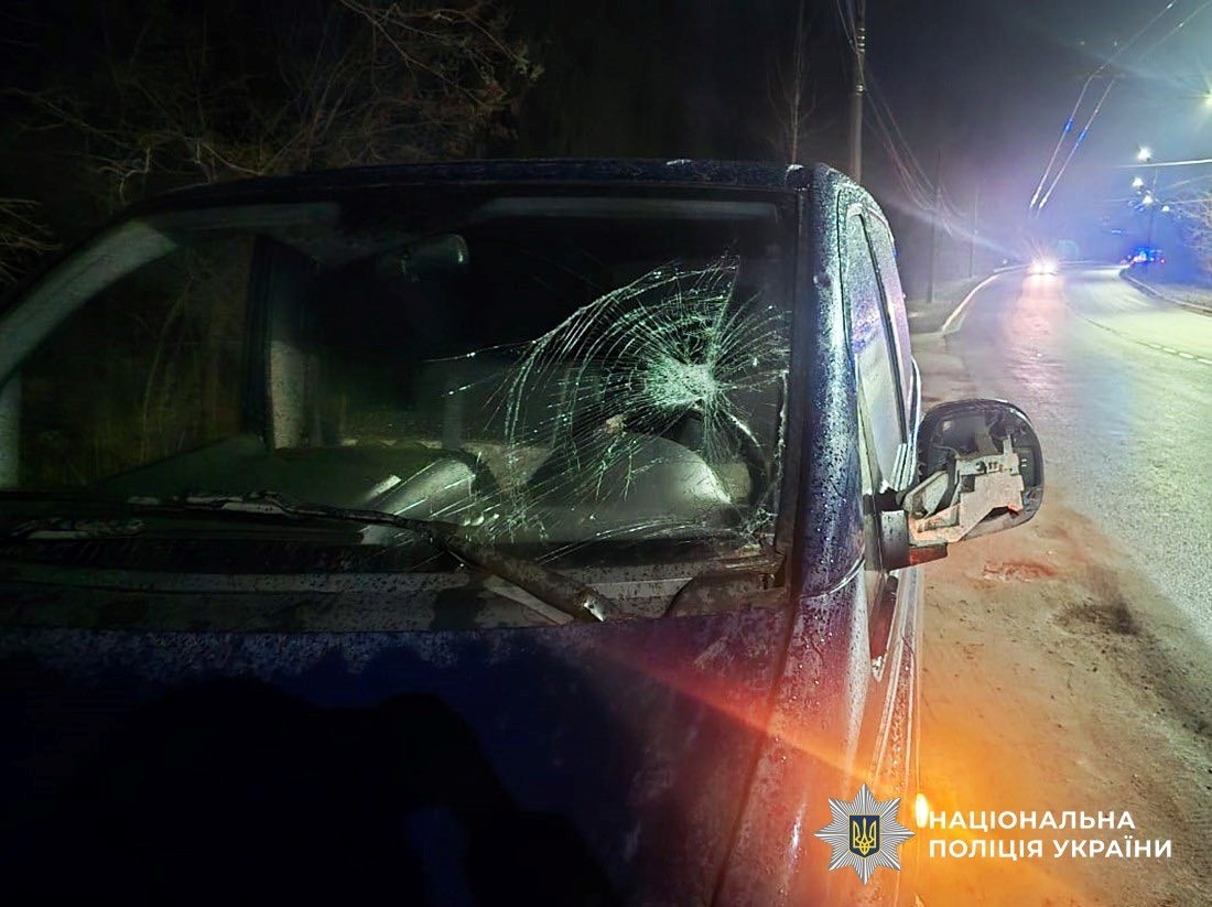 У Житомирі під колесами автівки загинув житель Звягельщини