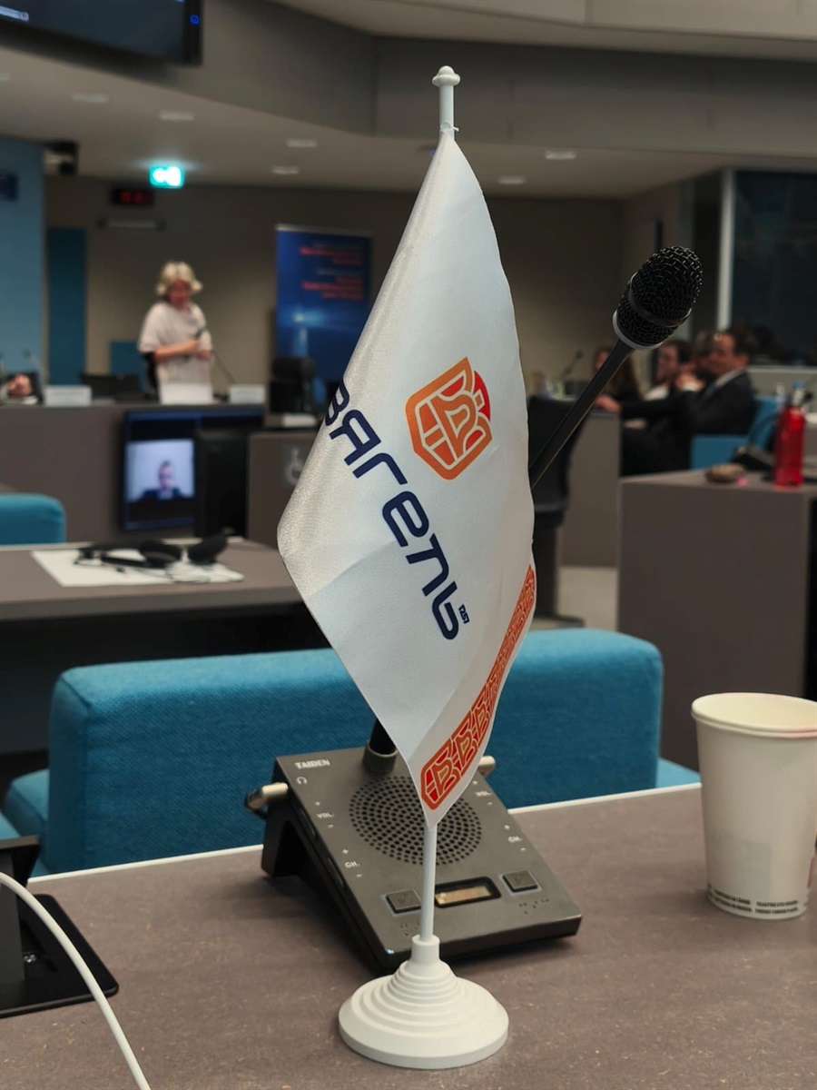 Звягель представив Україну на європейській конференції з деліберативної демократії у Страсбурзі