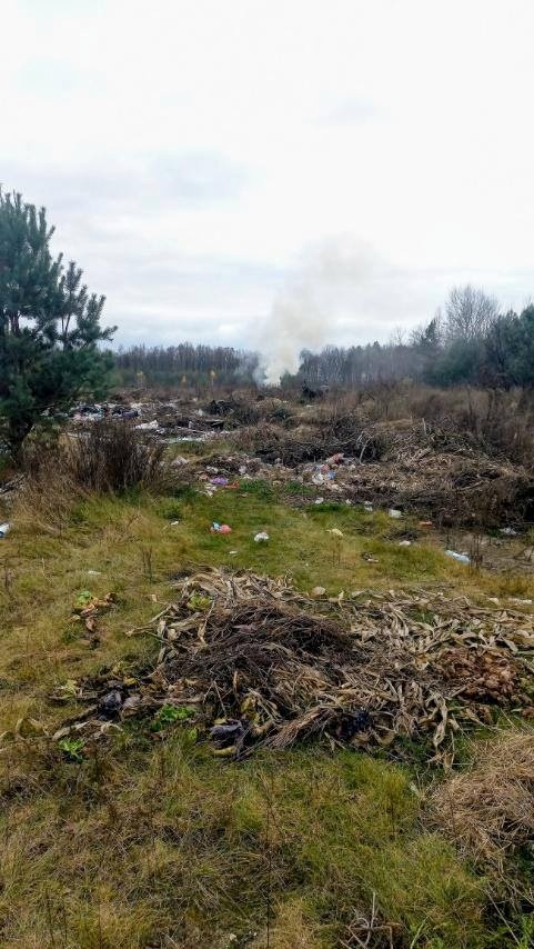 На Звягельщині ліквідували стихійне сміттєзвалище та встановили фотопастки для виявлення порушників