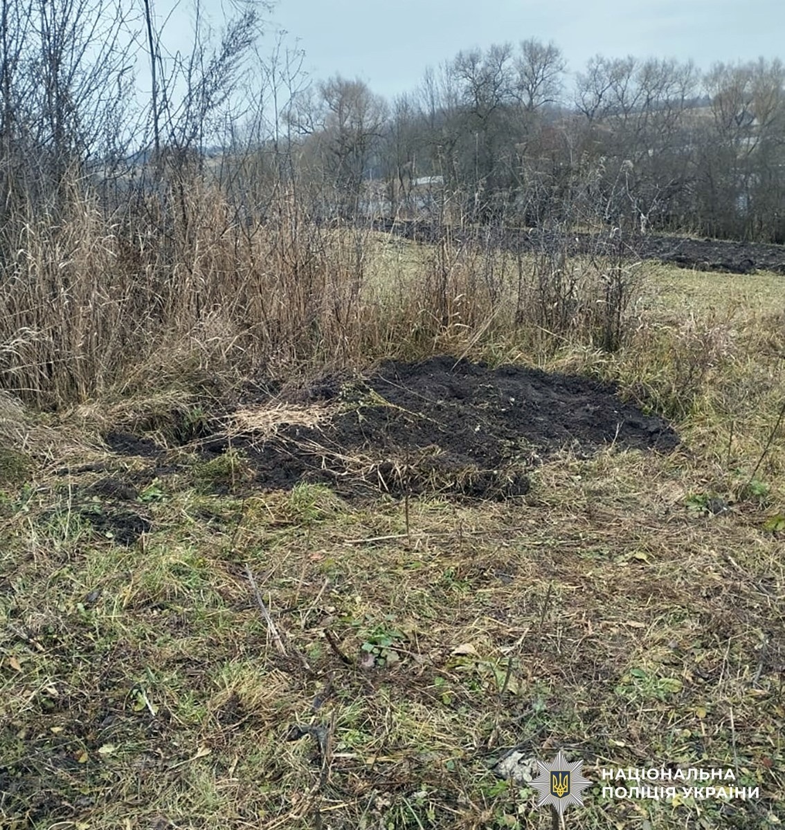 На Житомирщині чоловік вбив приятеля та закопав у себе на городі