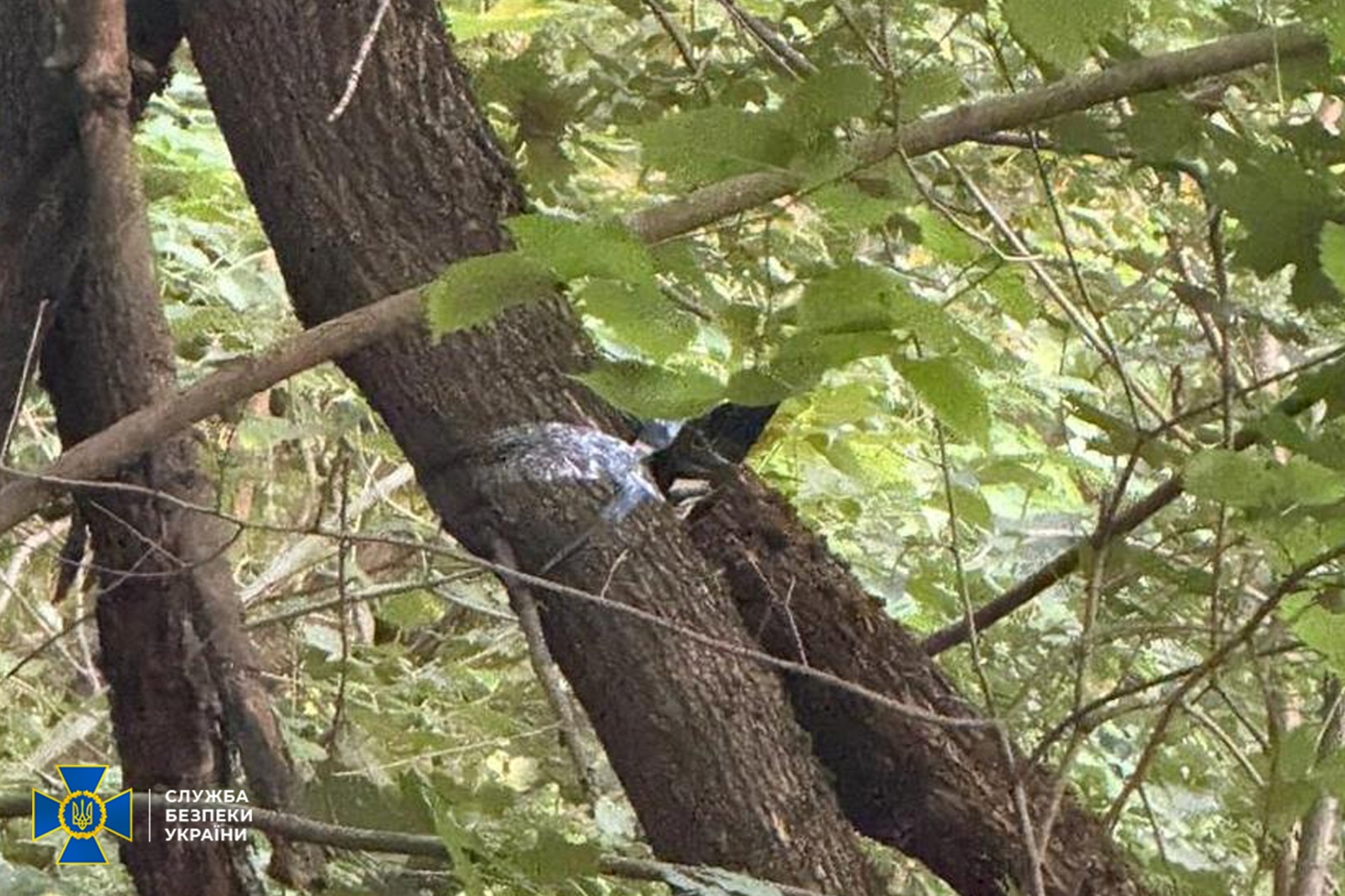 17-річні хлопець та дівчина вчинили теракт на Житомирщині на замовлення росіян