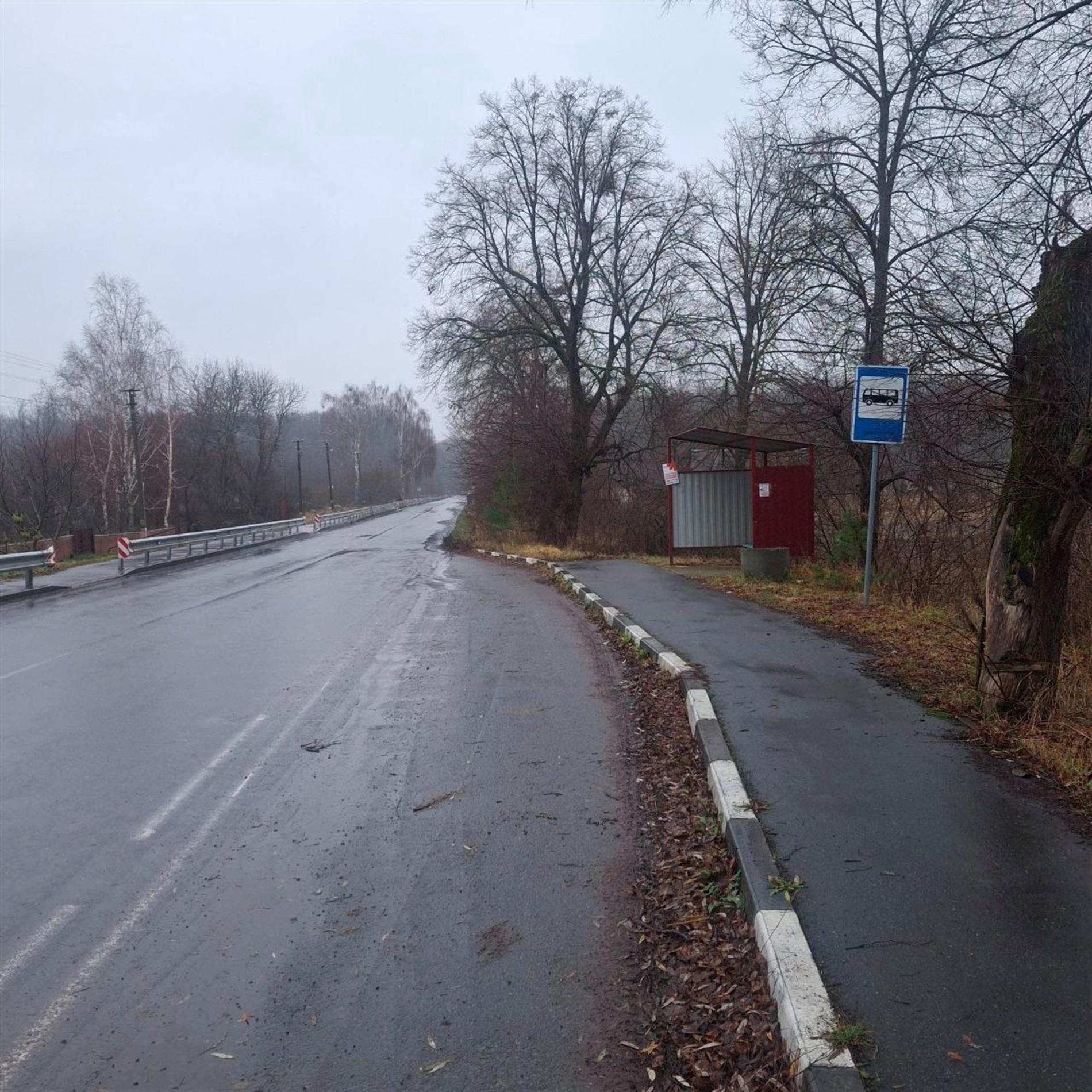 “Лотерея життя”: чому центральна вулиця в Майстровій Волі потребує змін