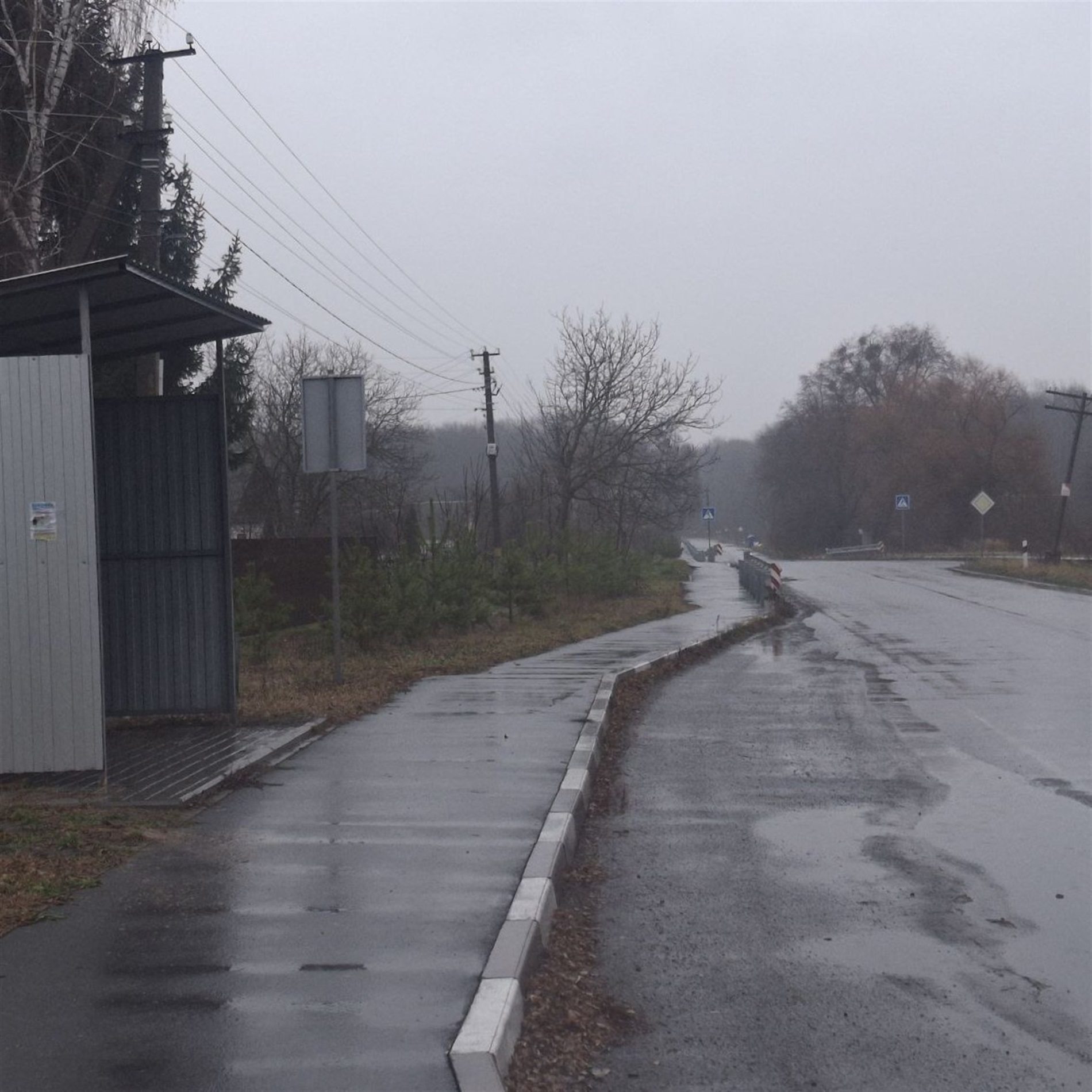 “Лотерея життя”: чому центральна вулиця в Майстровій Волі потребує змін