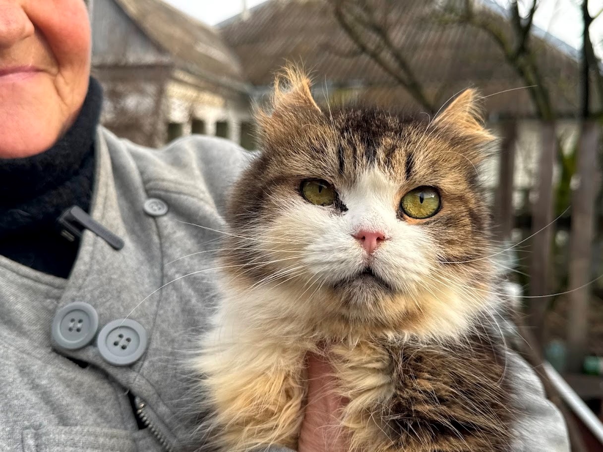 Пані Світлана з врятованим котиком