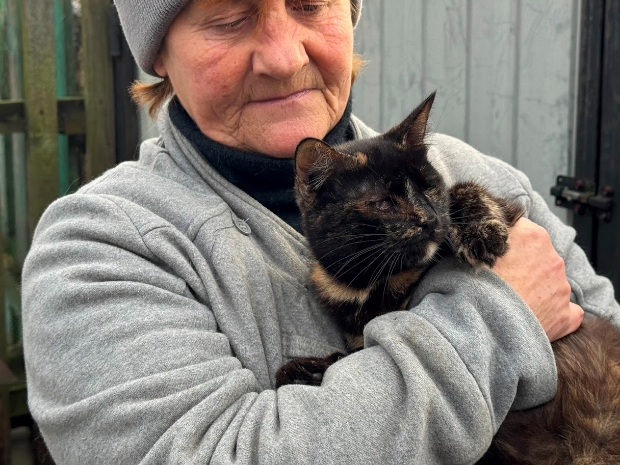 Котик з притулку пані Світлани