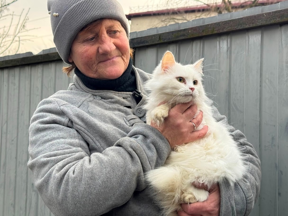 Котик з притулку пані Світлани