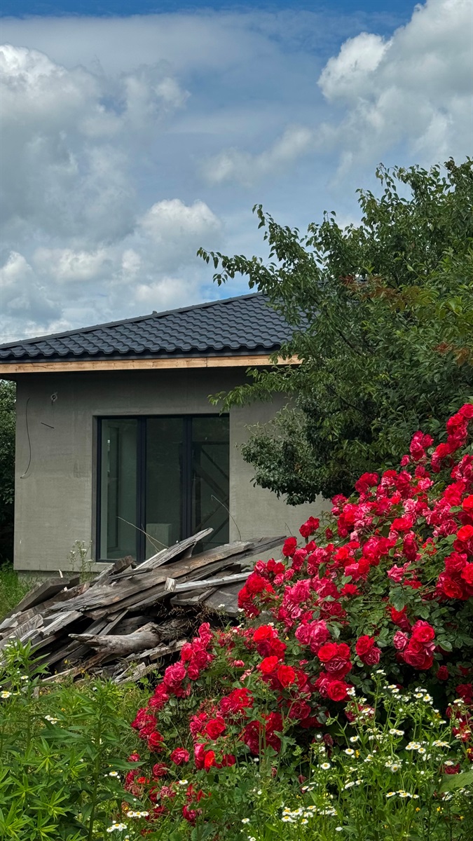 Будинок у Звягелі