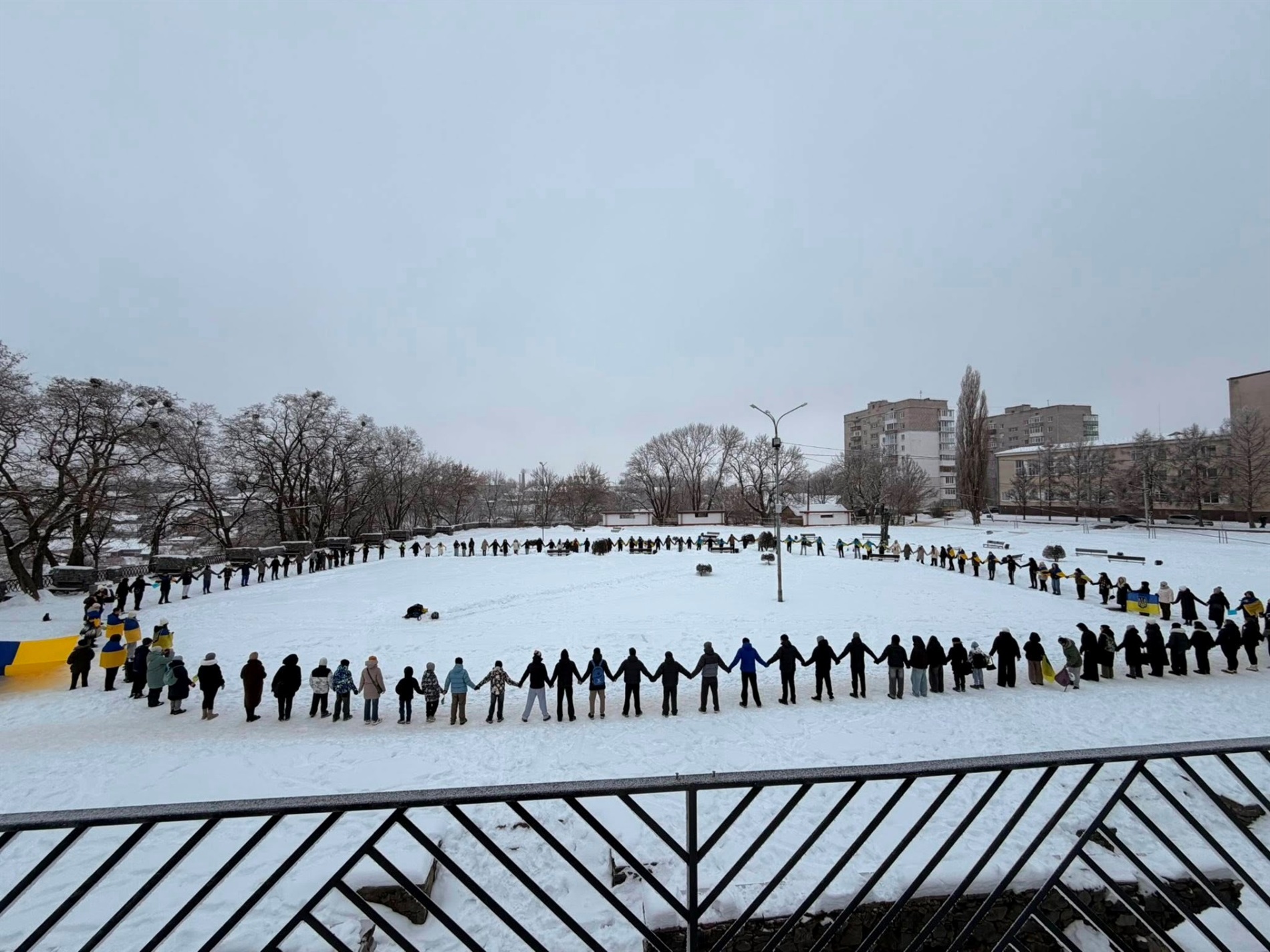 Молодь Звягеля утворила 