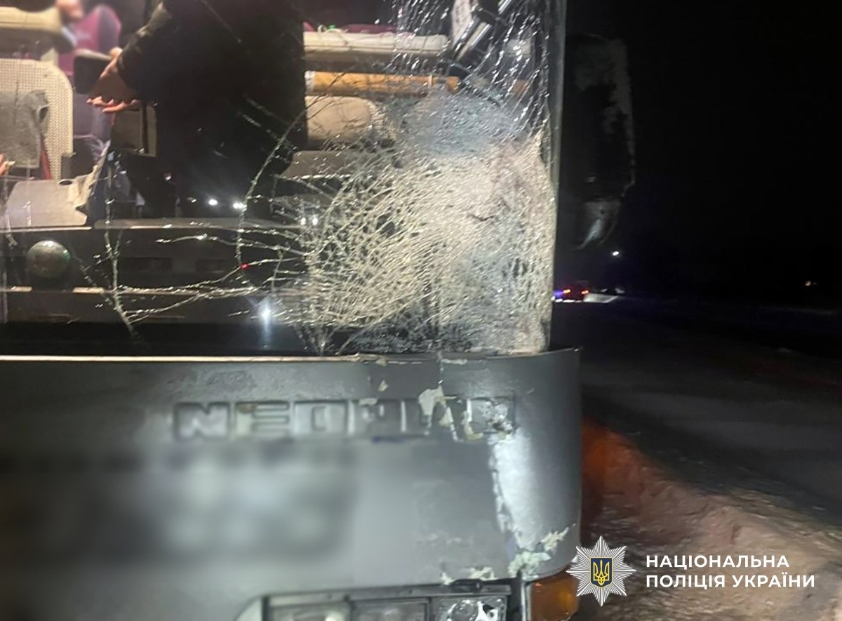 Автобус збив пішохода на трасі Київ – Чоп: слідчі шукають свідків події