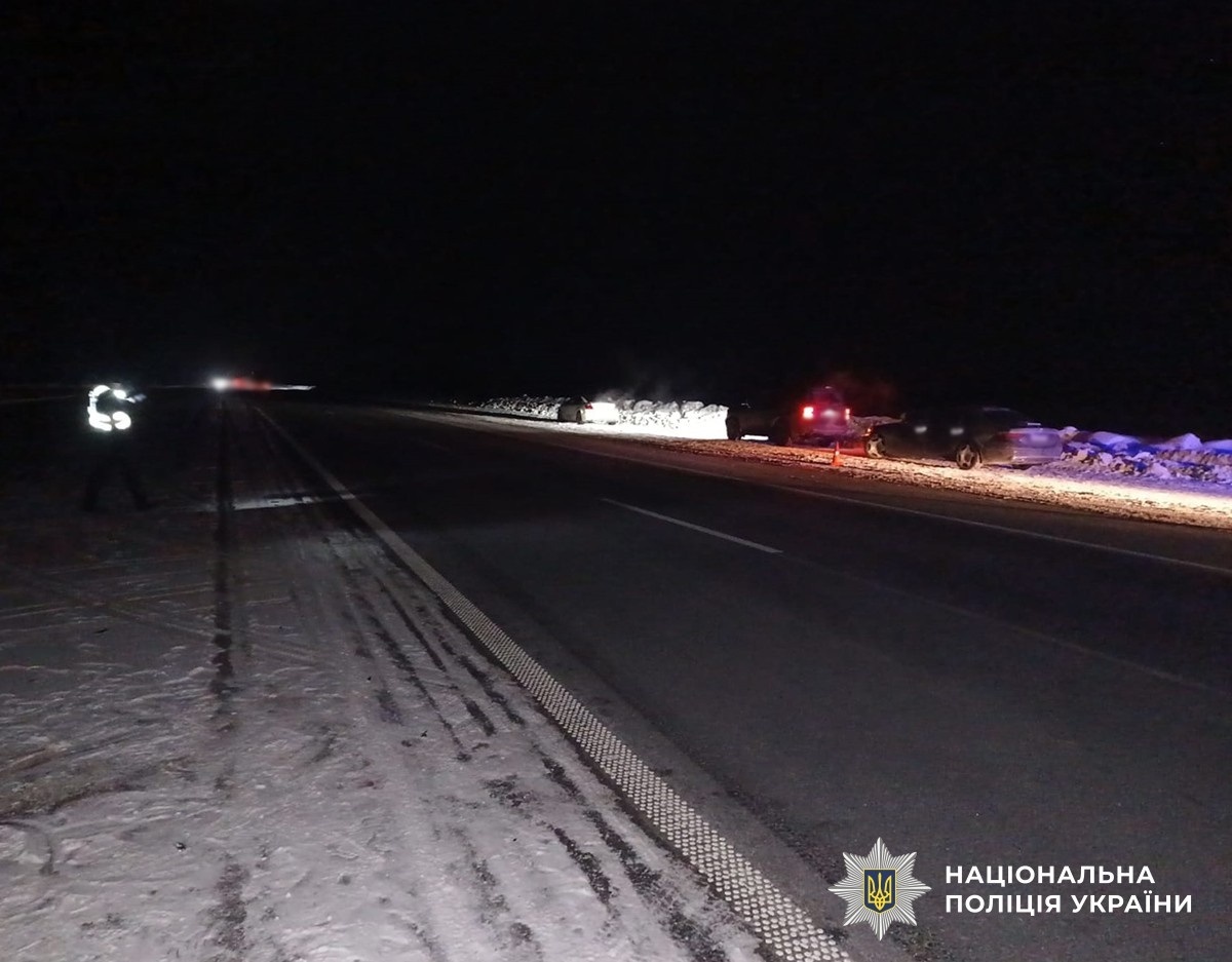 Поліцейські встановлюють обставини смертельної ДТП на Звягельщині