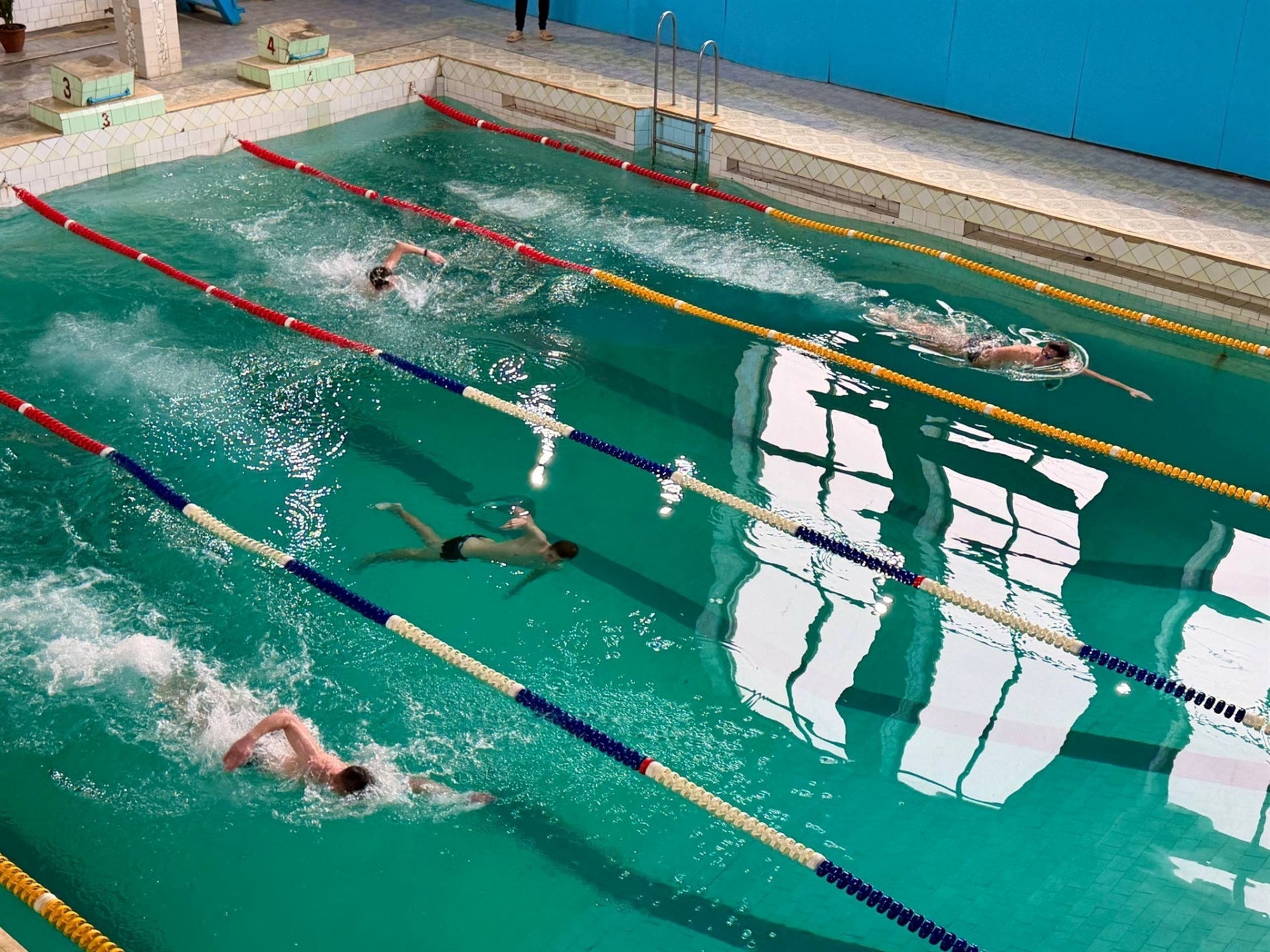 У Звягелі відбулася Студентська ліга з плавання: хто переміг