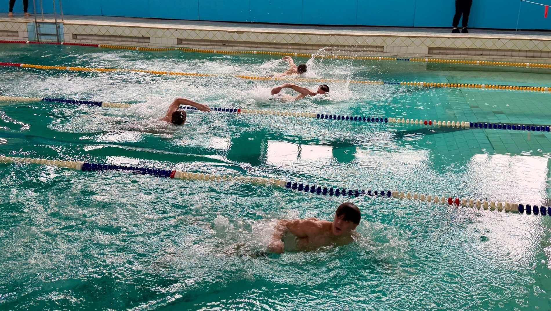 У Звягелі відбулася Студентська ліга з плавання: хто переміг