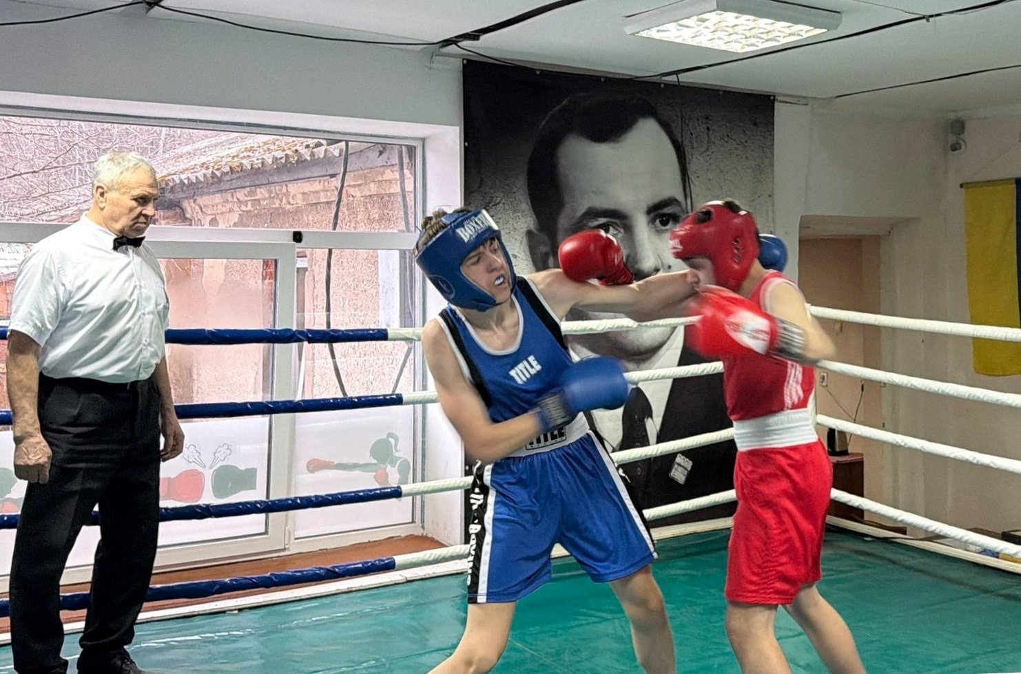 Чотири золоті: звягельські боксери взяли призи на Всеукраїнському турнірі в Рівному