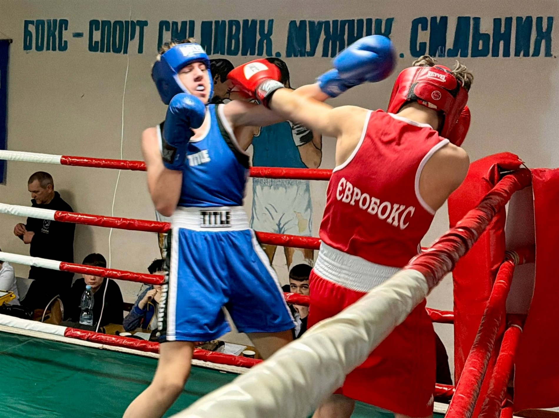 Чотири золоті: звягельські боксери взяли призи на Всеукраїнському турнірі в Рівному