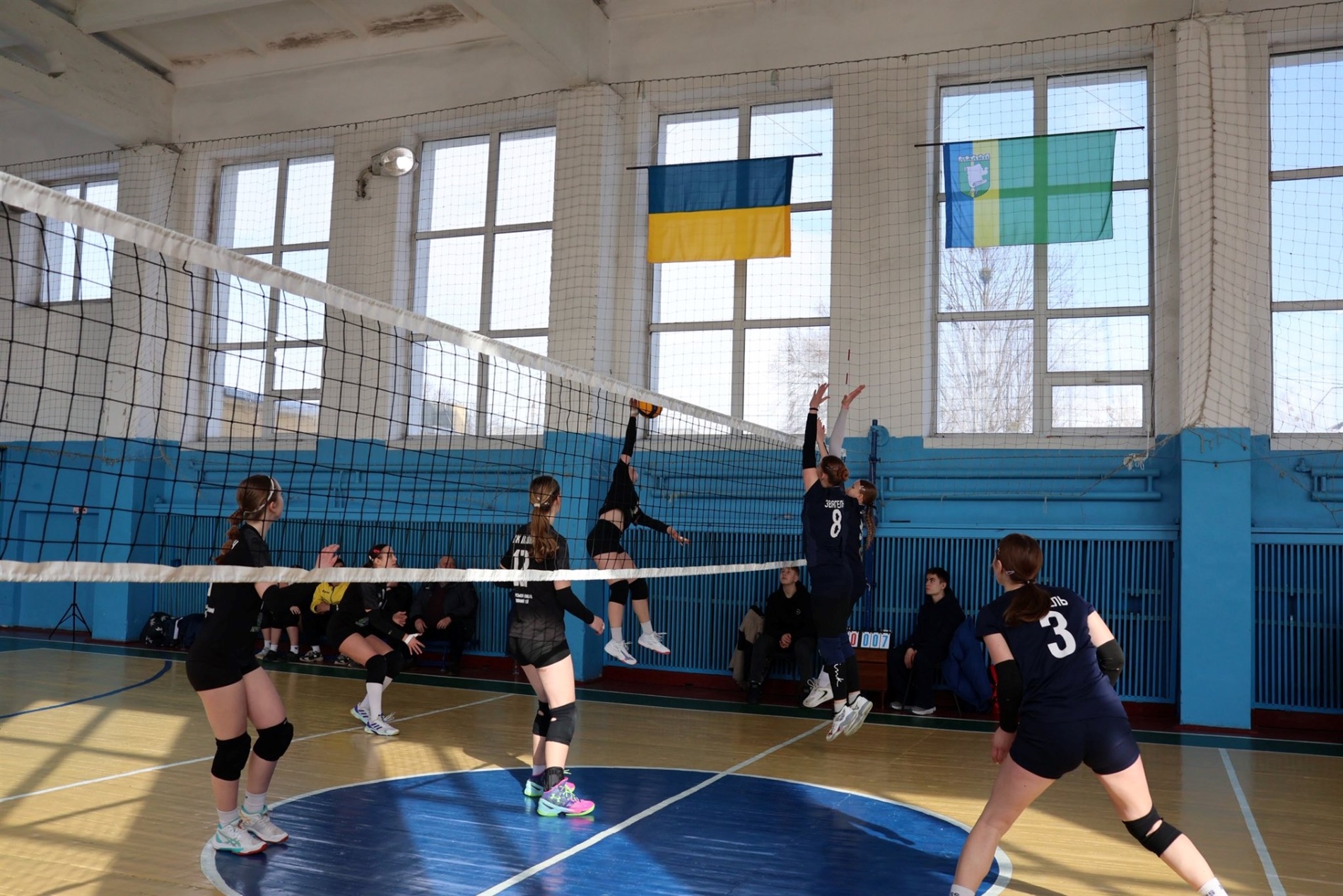Фінал, боротьба і срібло: як звягельські волейболістки виступили на обласному чемпіонаті