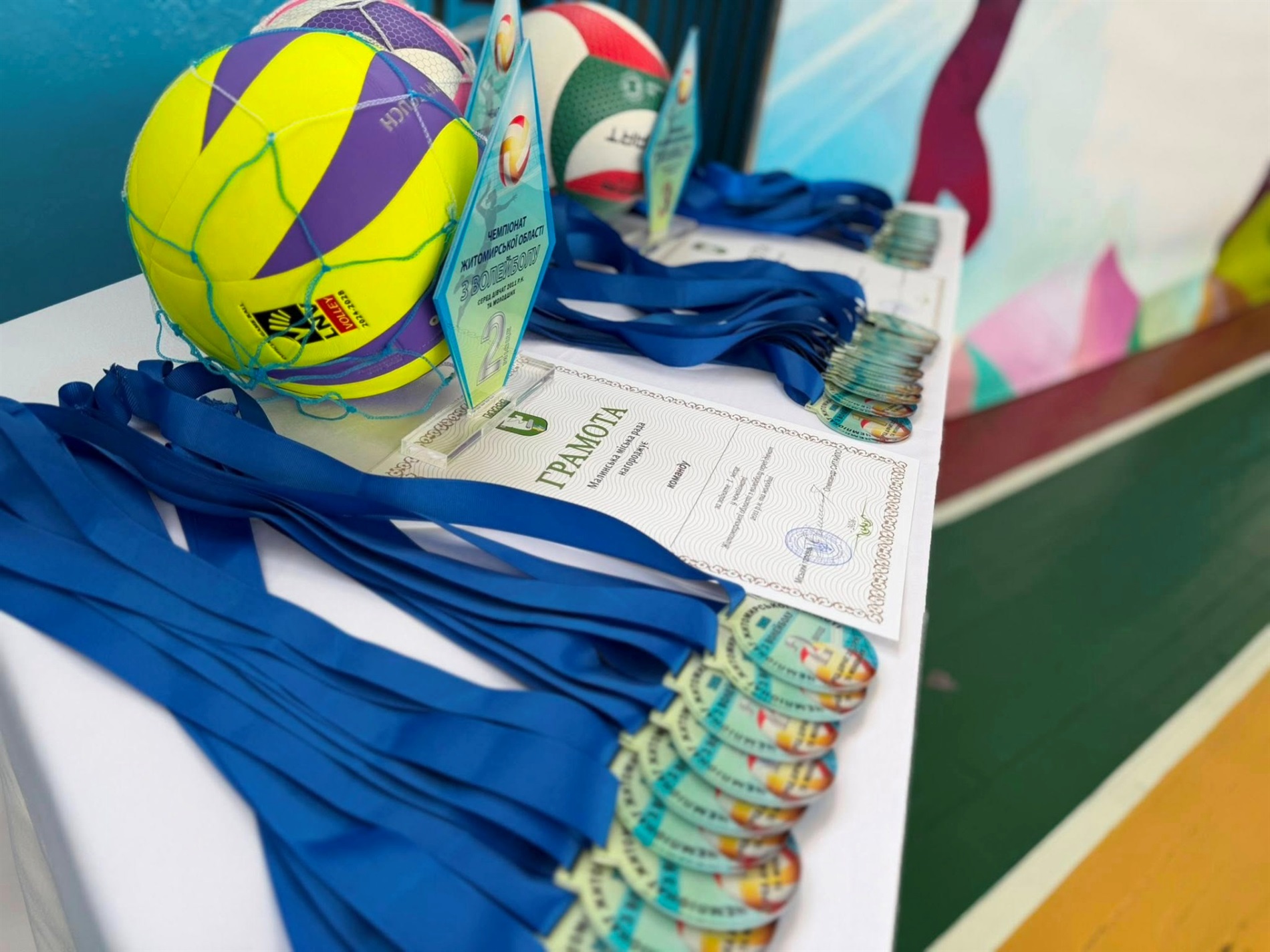 Фінал, боротьба і срібло: як звягельські волейболістки виступили на обласному чемпіонаті