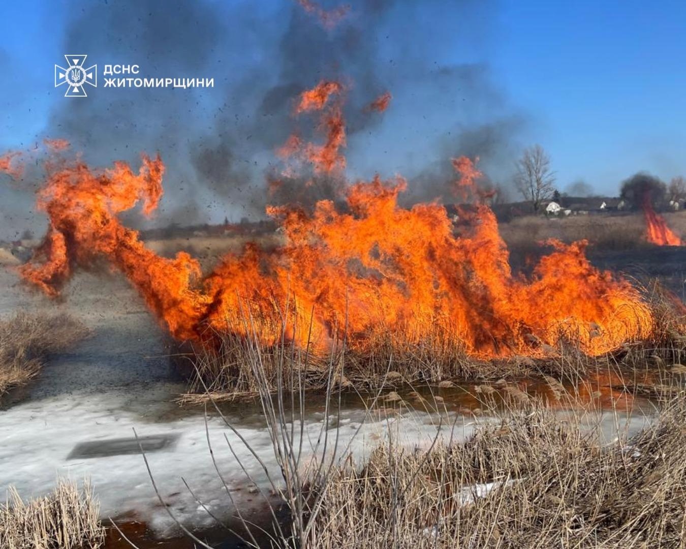 Житель Звягельщини отримав опіки, намагаючись загасити траву