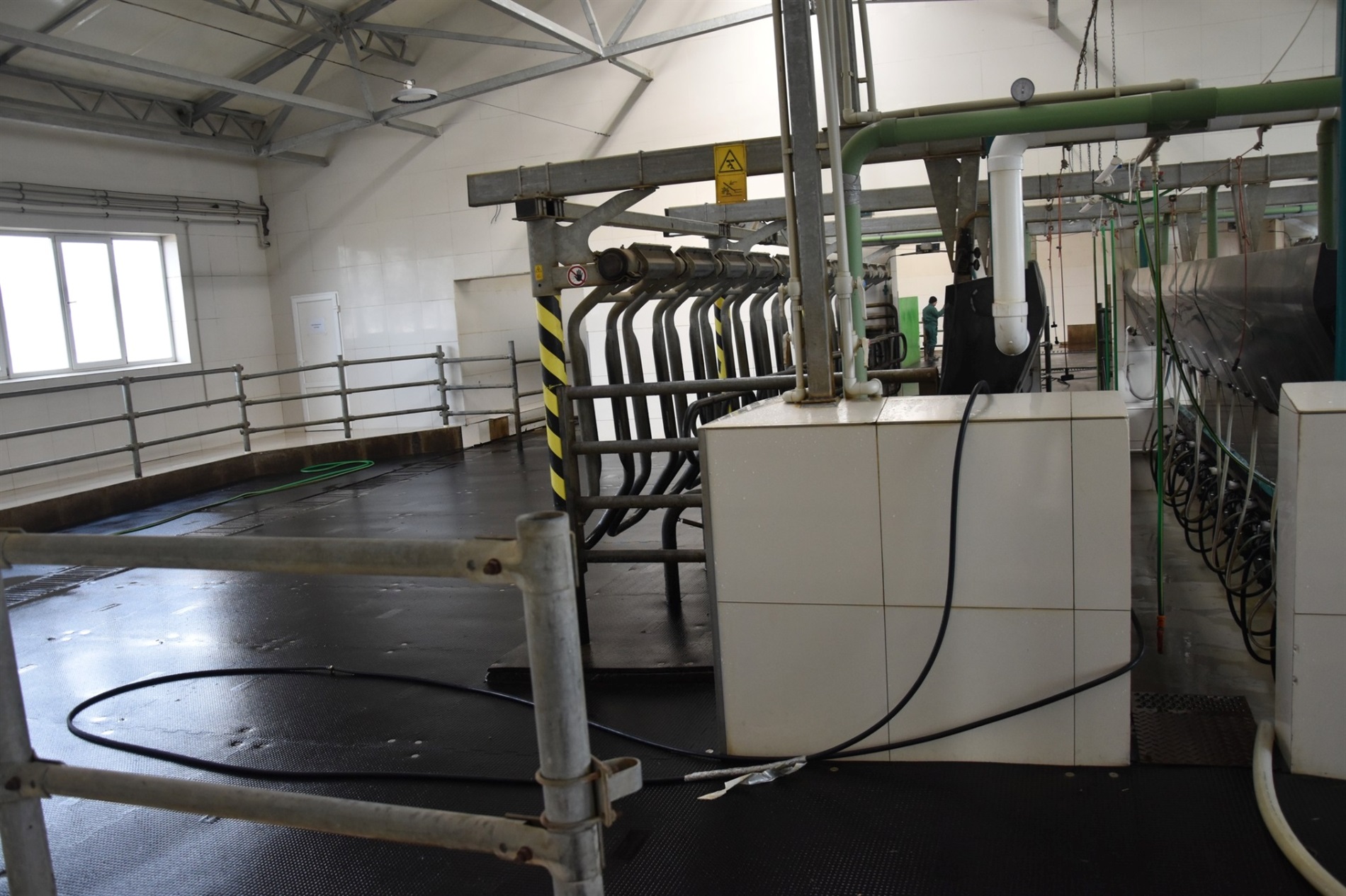 На Звягельщині відкрили нову органічну молочну ферму