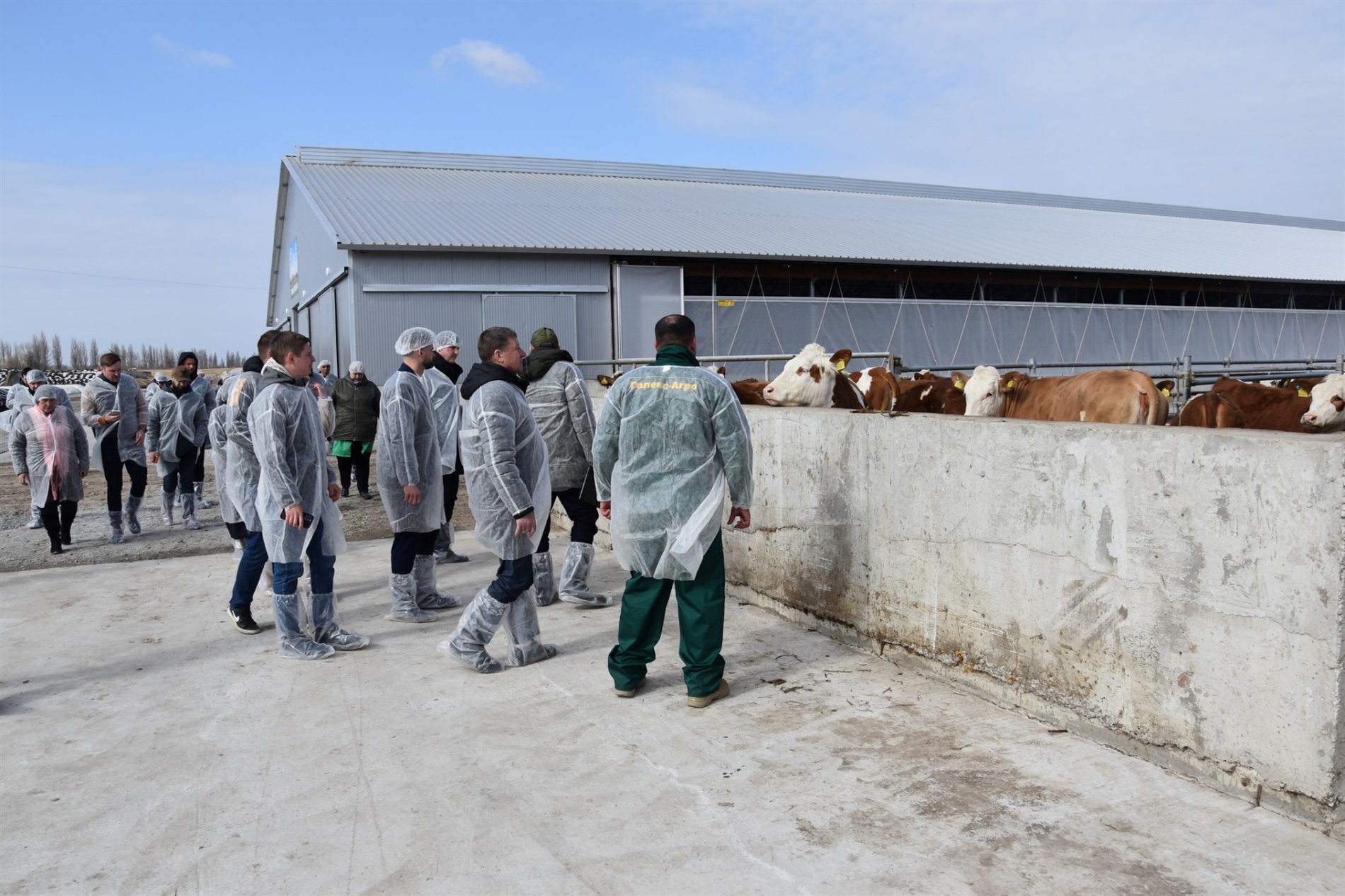 На Звягельщині відкрили нову органічну молочну ферму