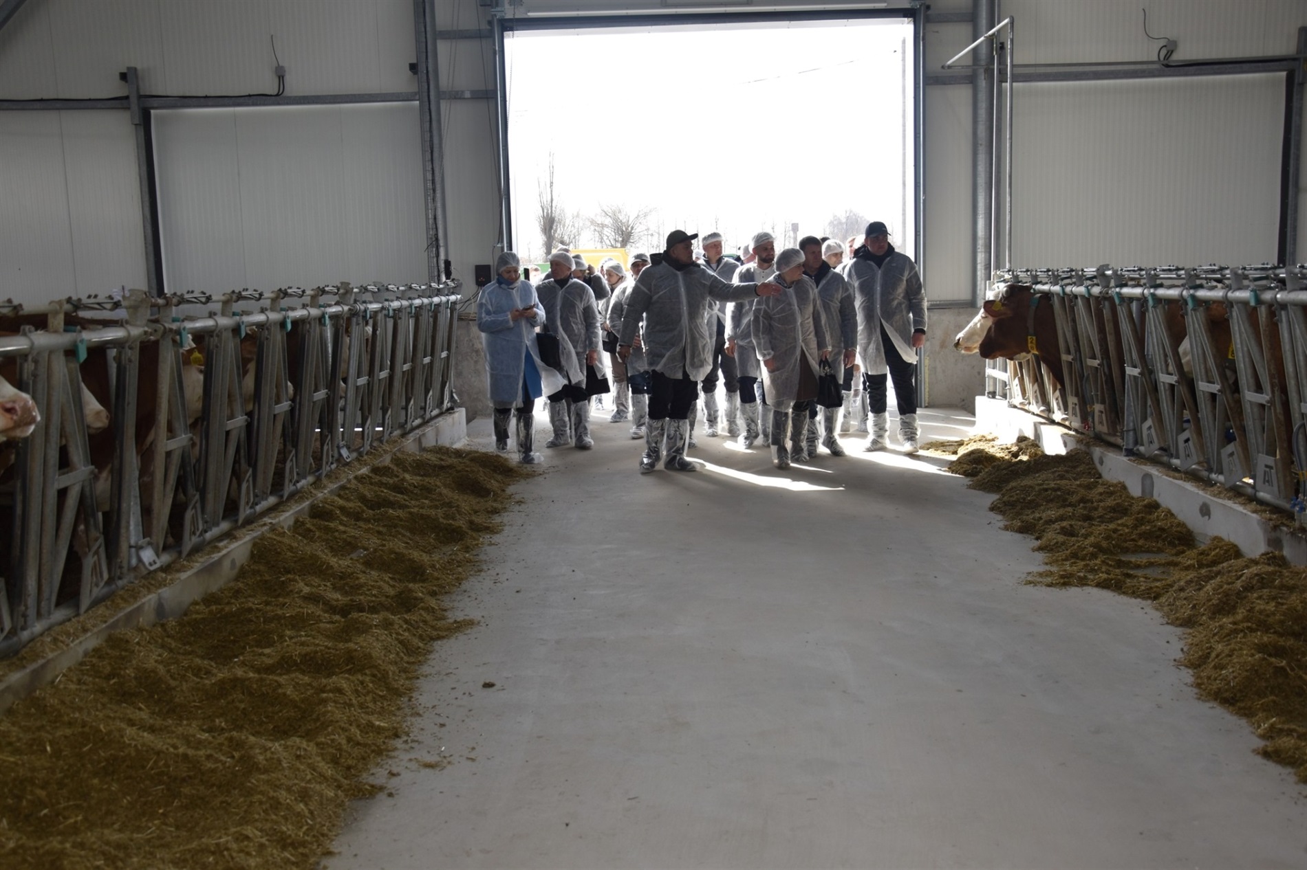 На Звягельщині відкрили нову органічну молочну ферму