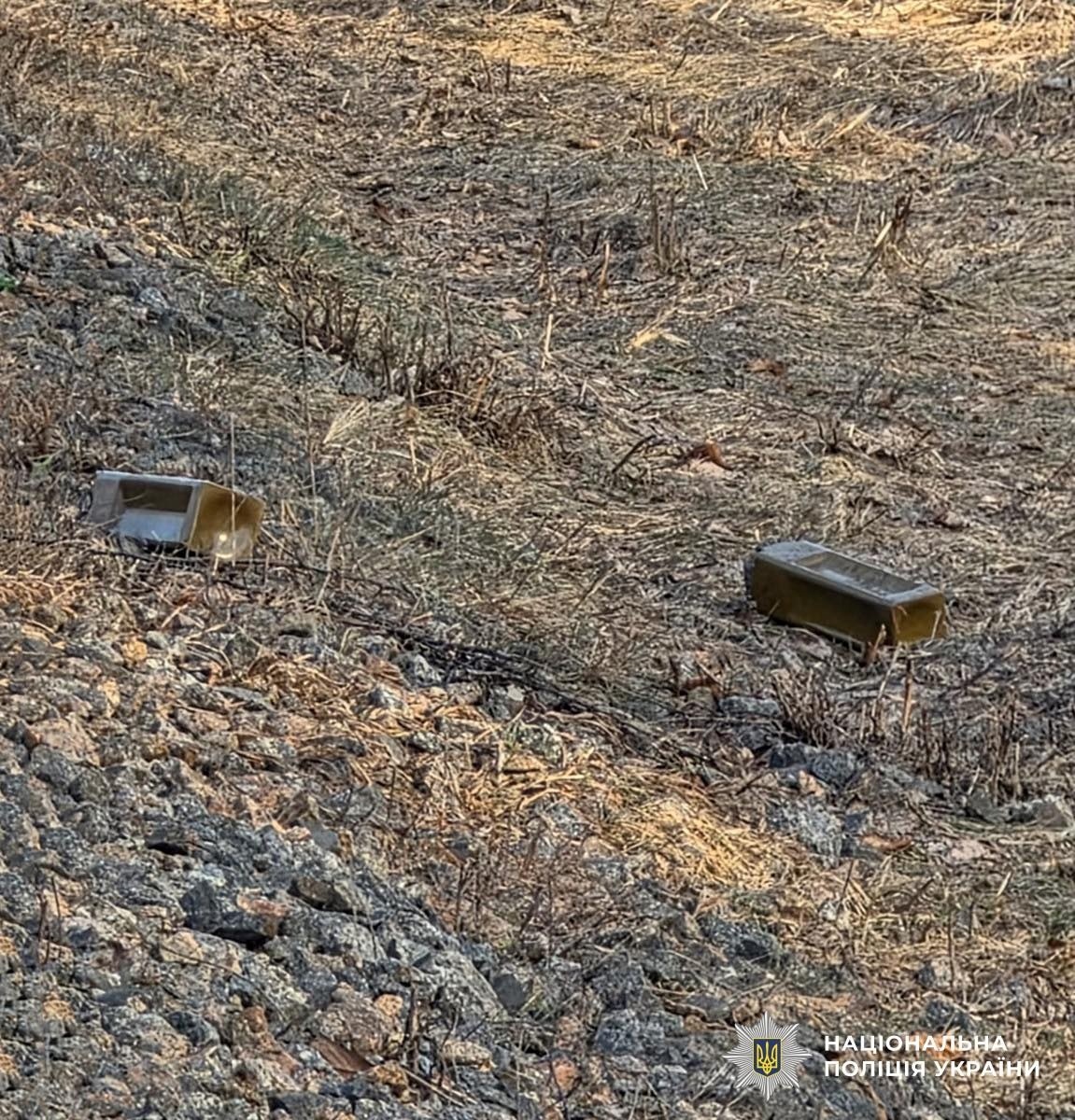Попередження для жителів Житомирщини: російські дрони розкидають протитанкові міни